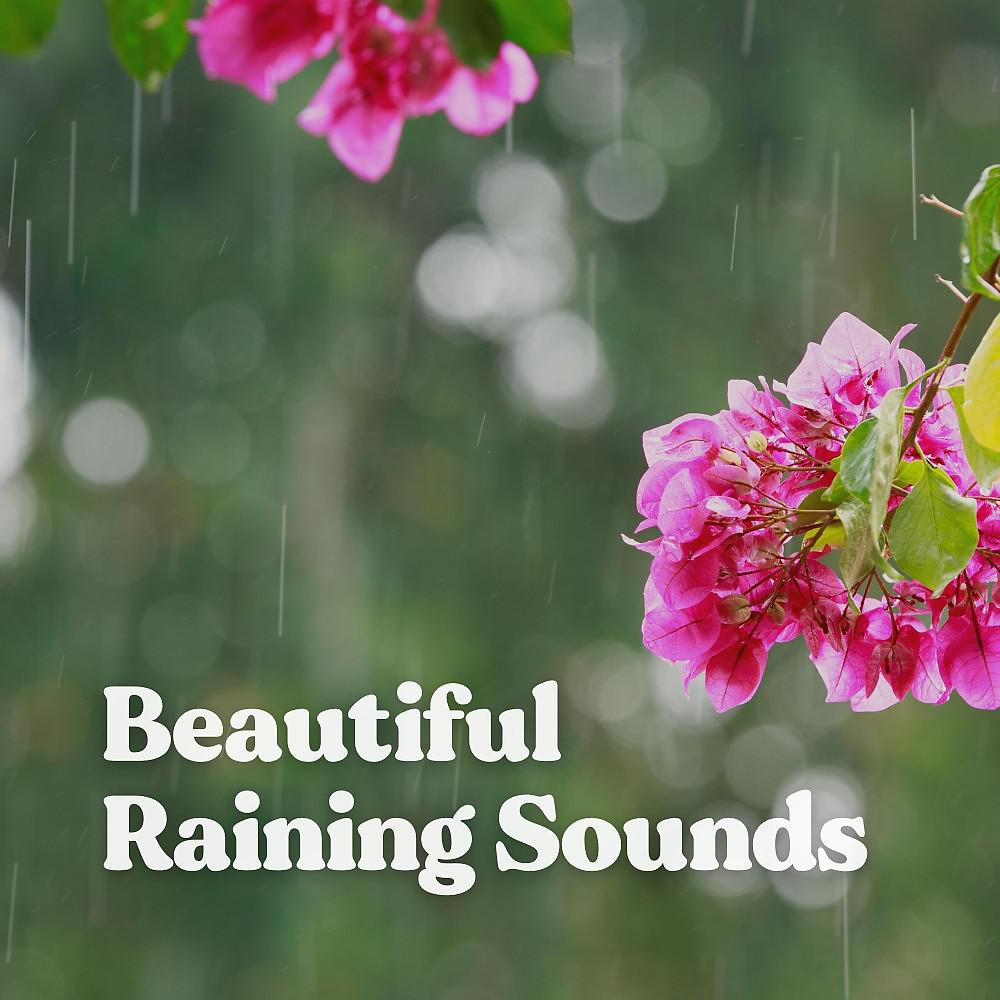 Постер альбома Beautiful Raining Sounds