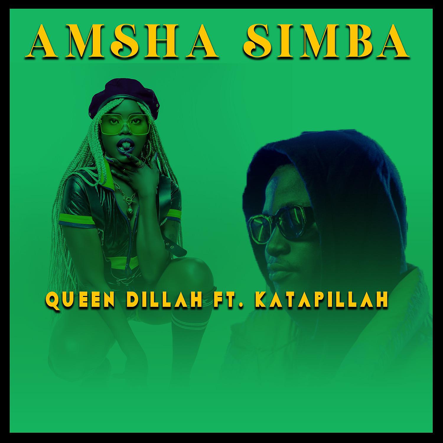 Постер альбома Amsha Simba