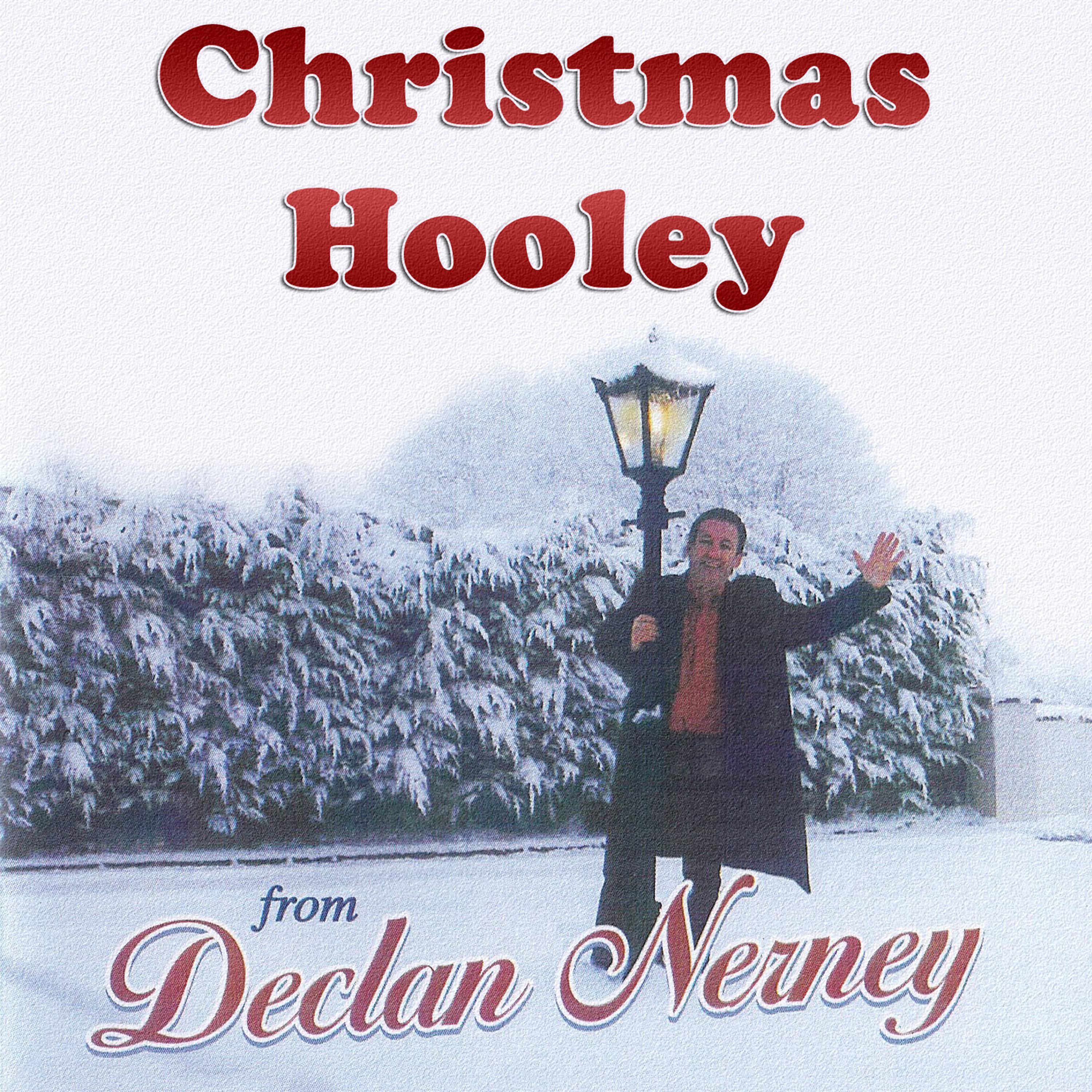Постер альбома Christmas Hooley