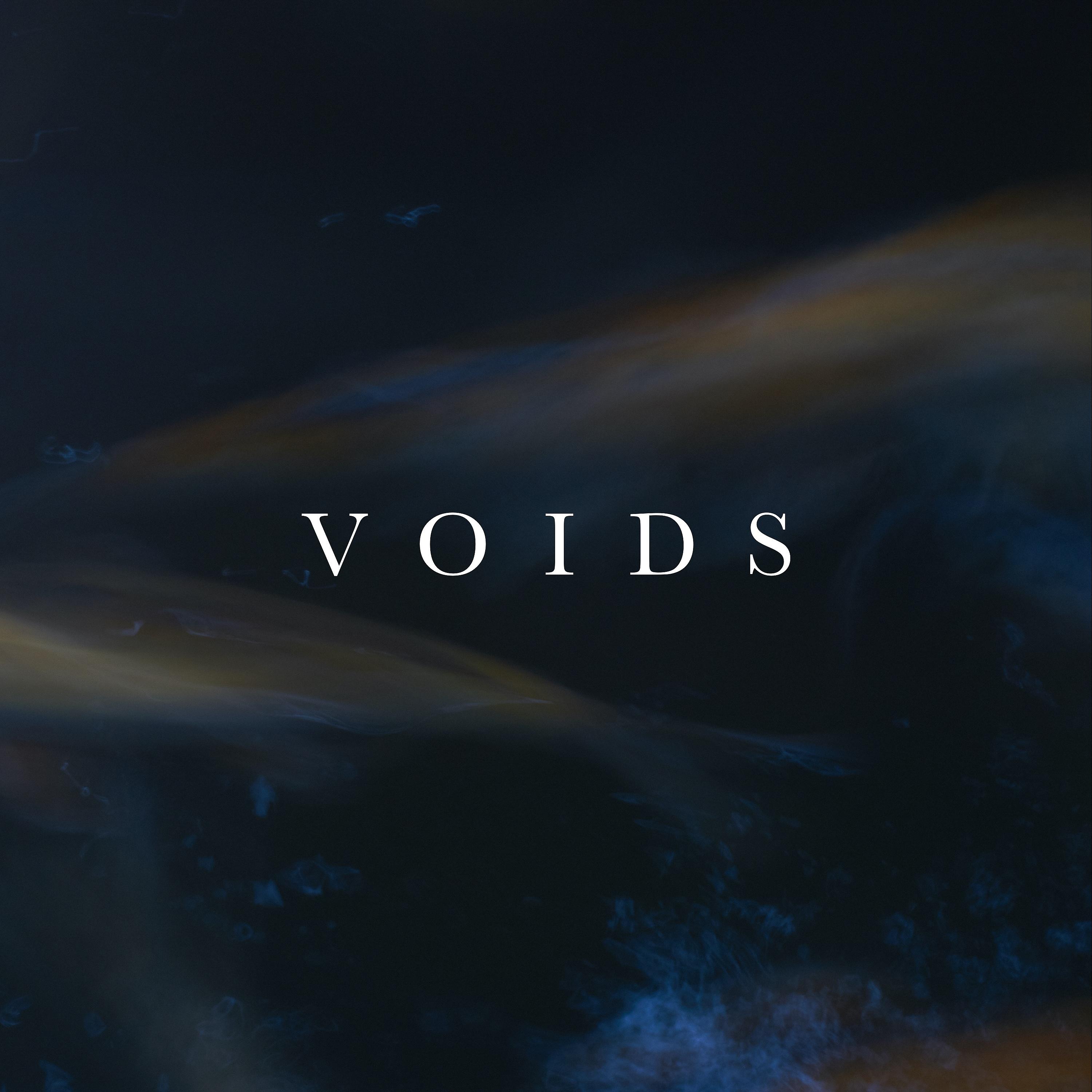 Постер альбома Voids