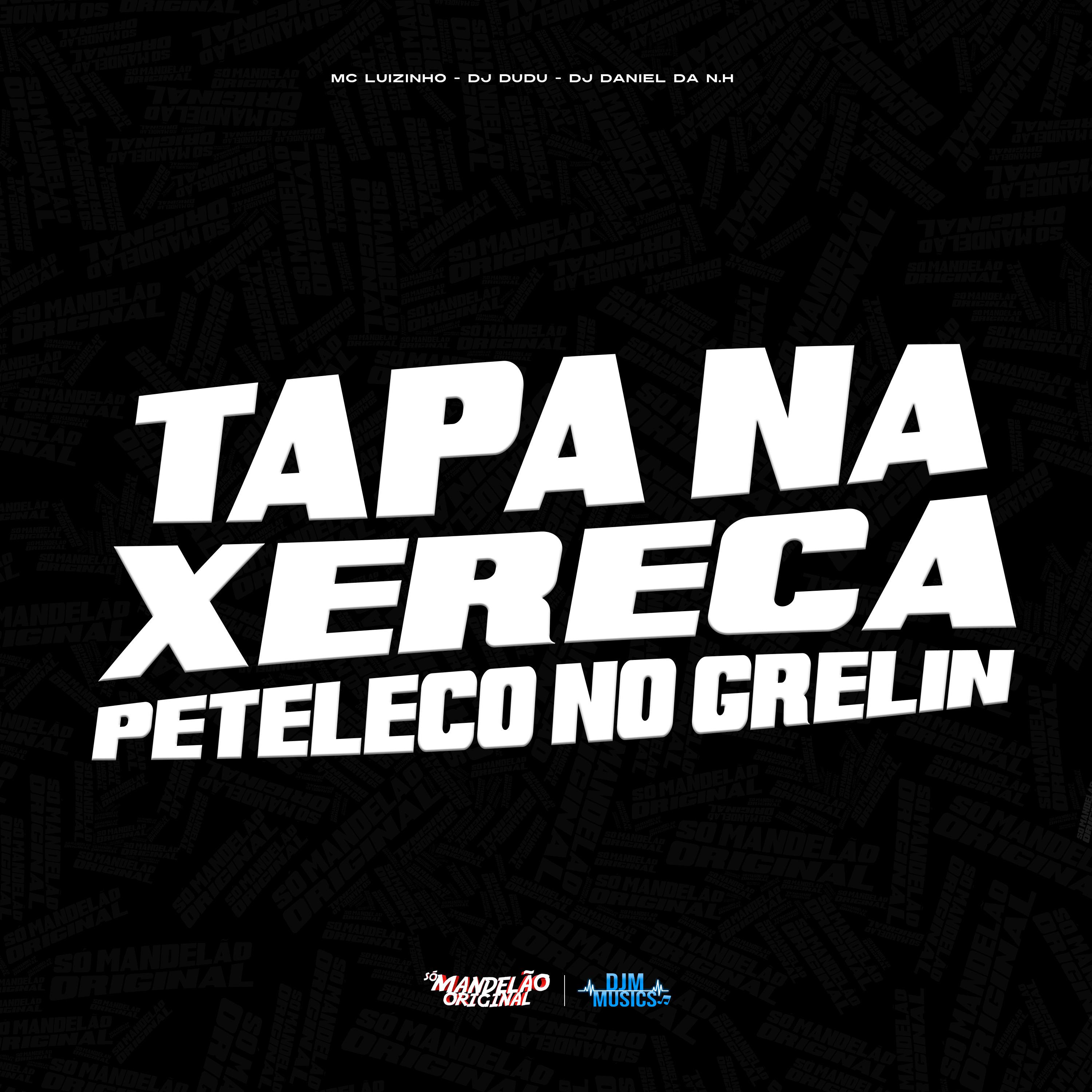 Постер альбома Tapa na Xerexa Peteleco no Grelin