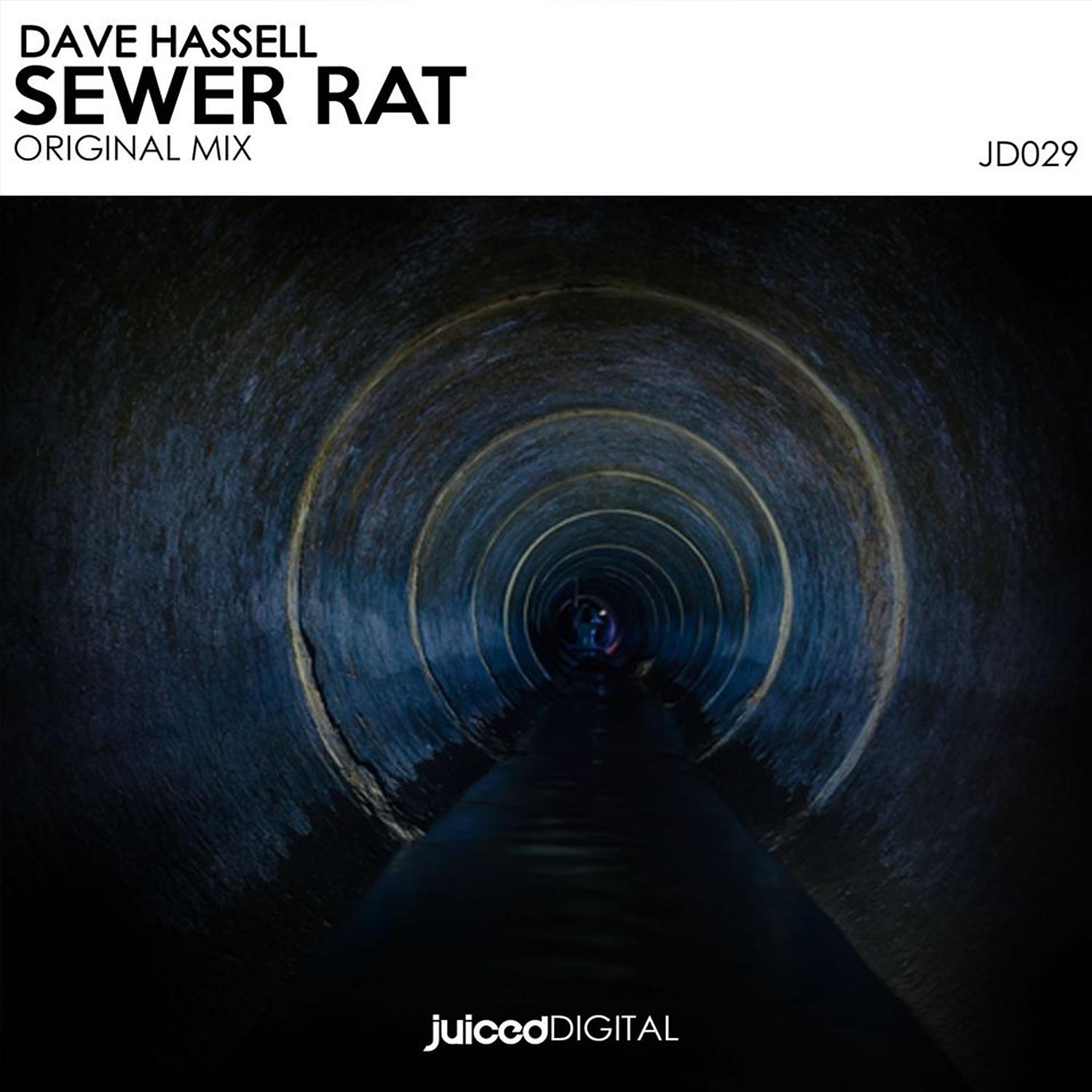 Постер альбома Sewer Rat (Extended Mix)