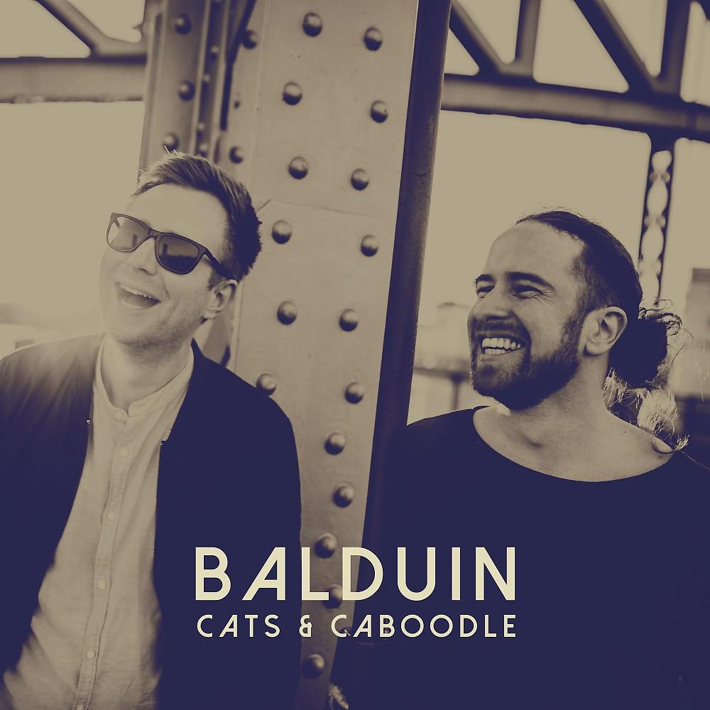 Постер альбома Cats & Caboodle