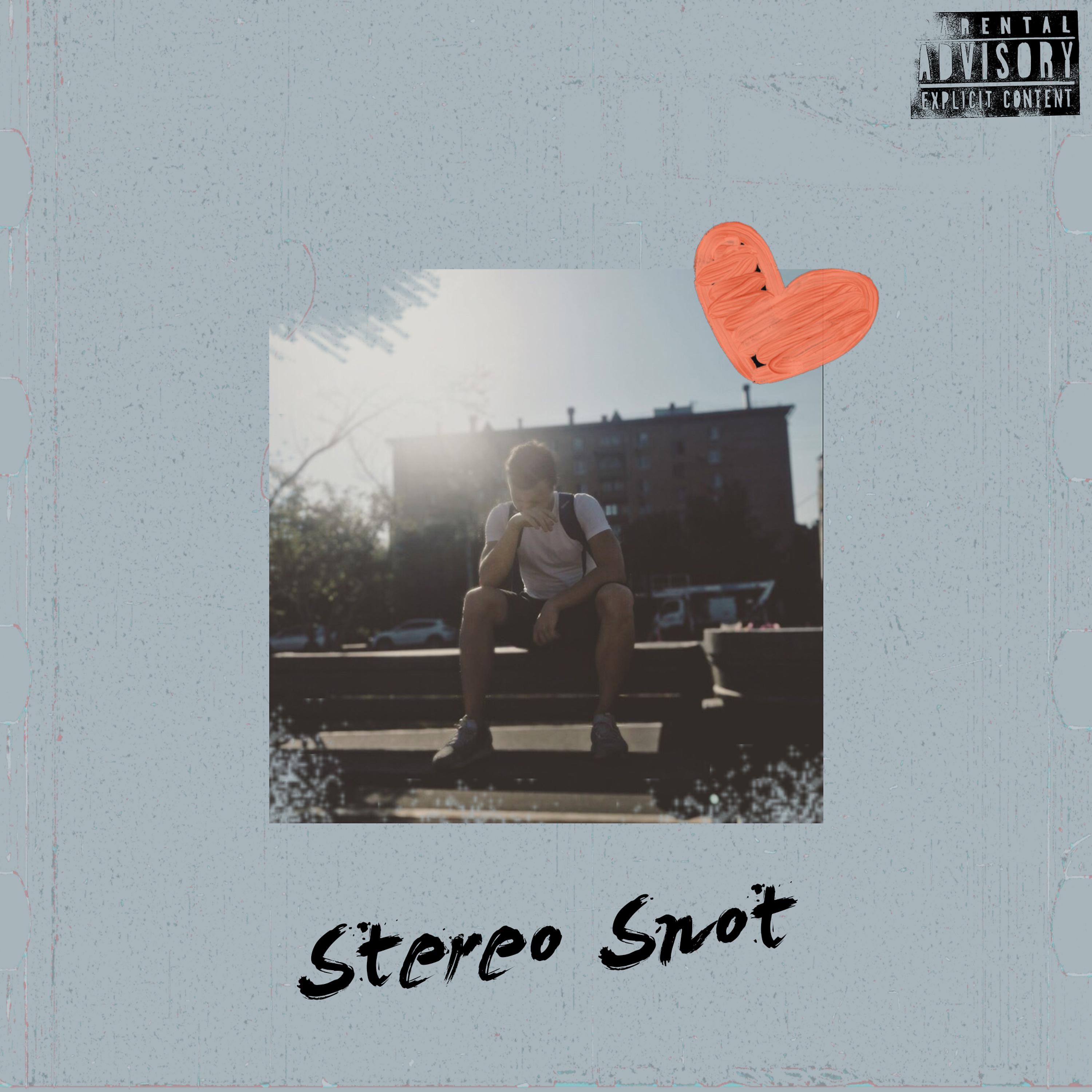 Постер альбома Stereo Snot