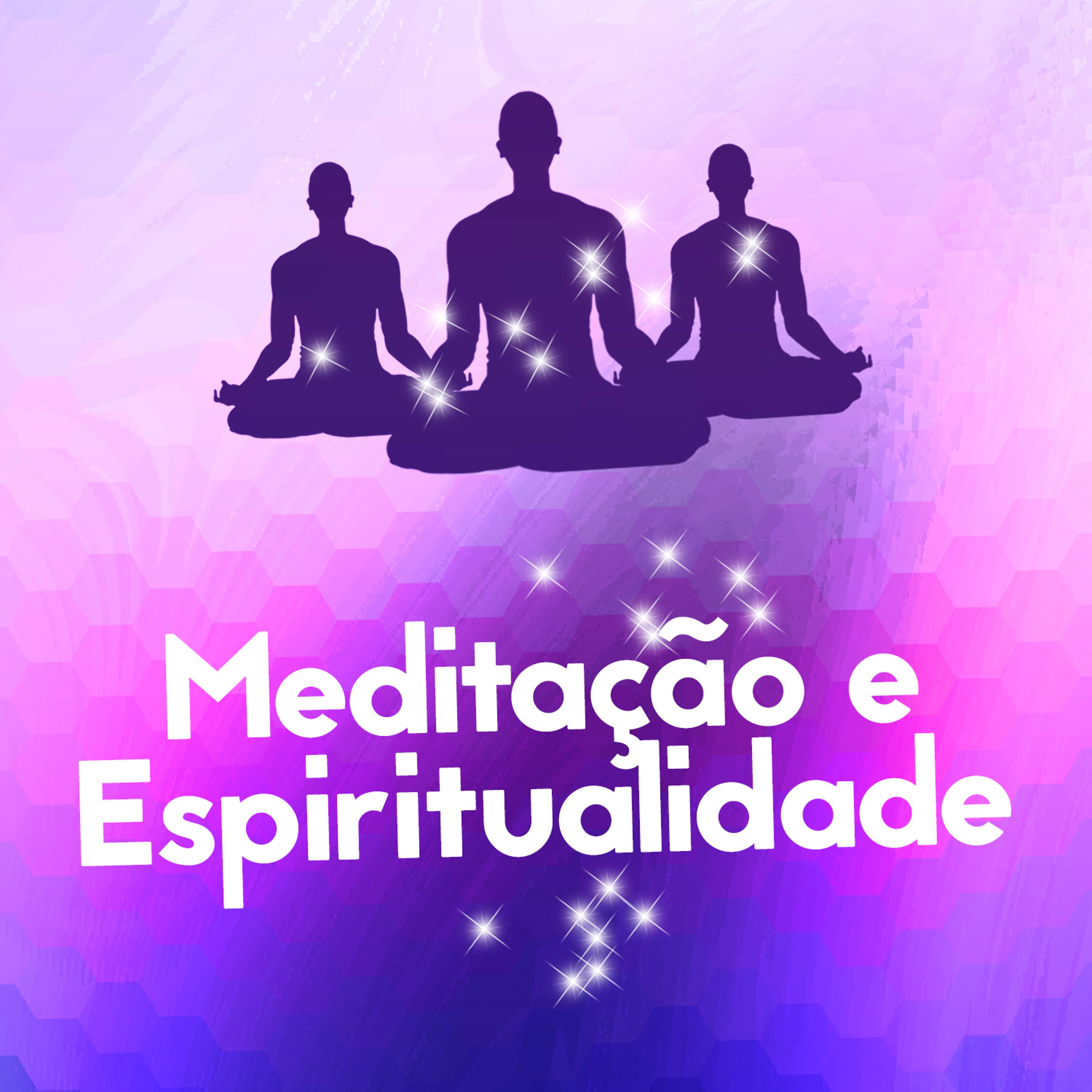 Постер альбома Meditação e Espiritualidade