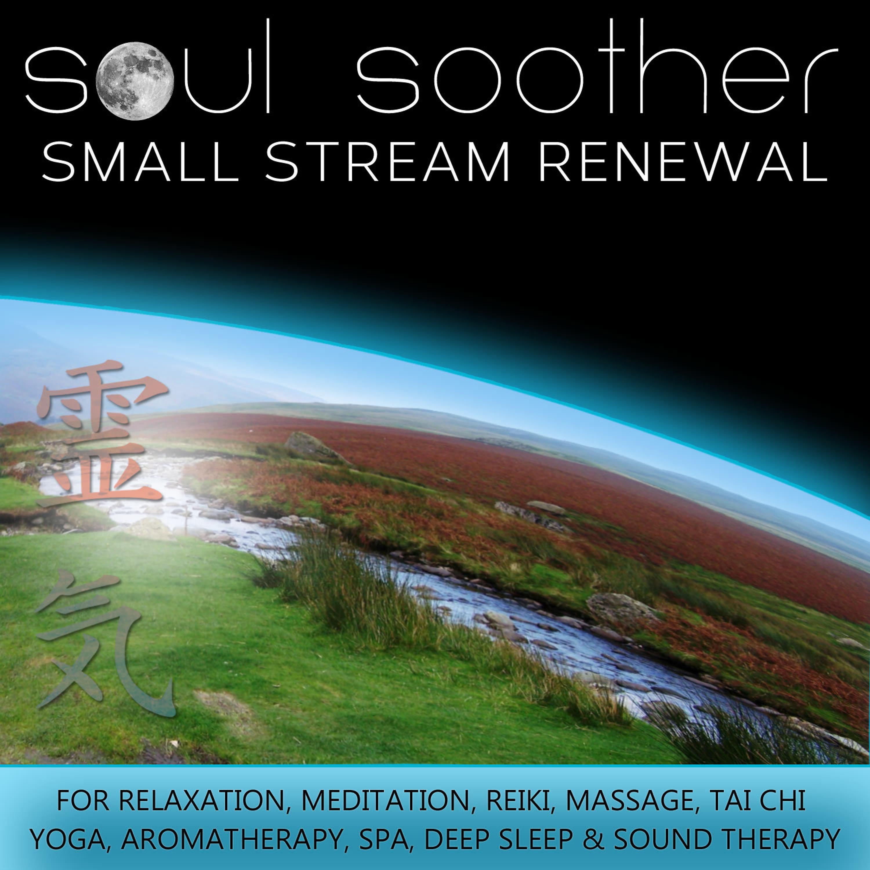 Постер альбома Small Stream Renewal for Relaxation, Meditation, Reiki, Massage, Tai Chi, Yoga, Aromatherapy, Spa, Deep Sleep and Sound Therapy