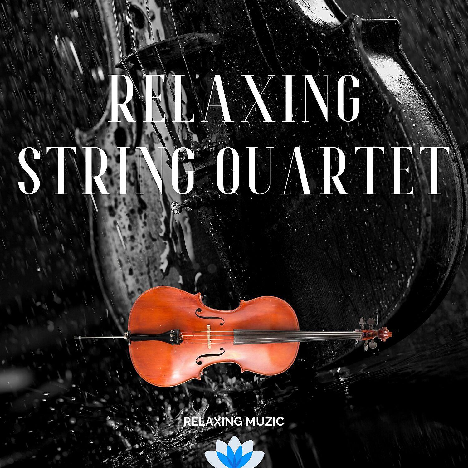 Постер альбома Relaxing String Quartet & Rain for Sleep, Meditation, Relax