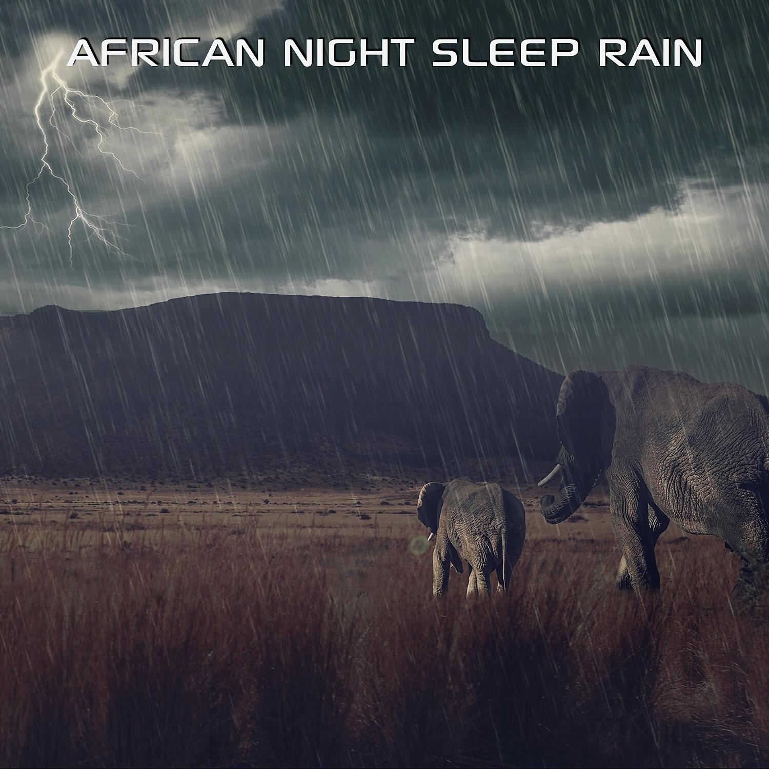Постер альбома African Night Sleep Rain (feat. Rain Soundscapes, Water Soundscapes, Discovery Nature Sound, Discovery Rain Sound & Discovery Soundscapes)