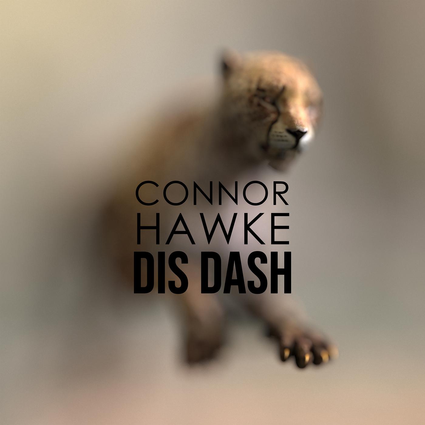 Постер альбома Dis Dash