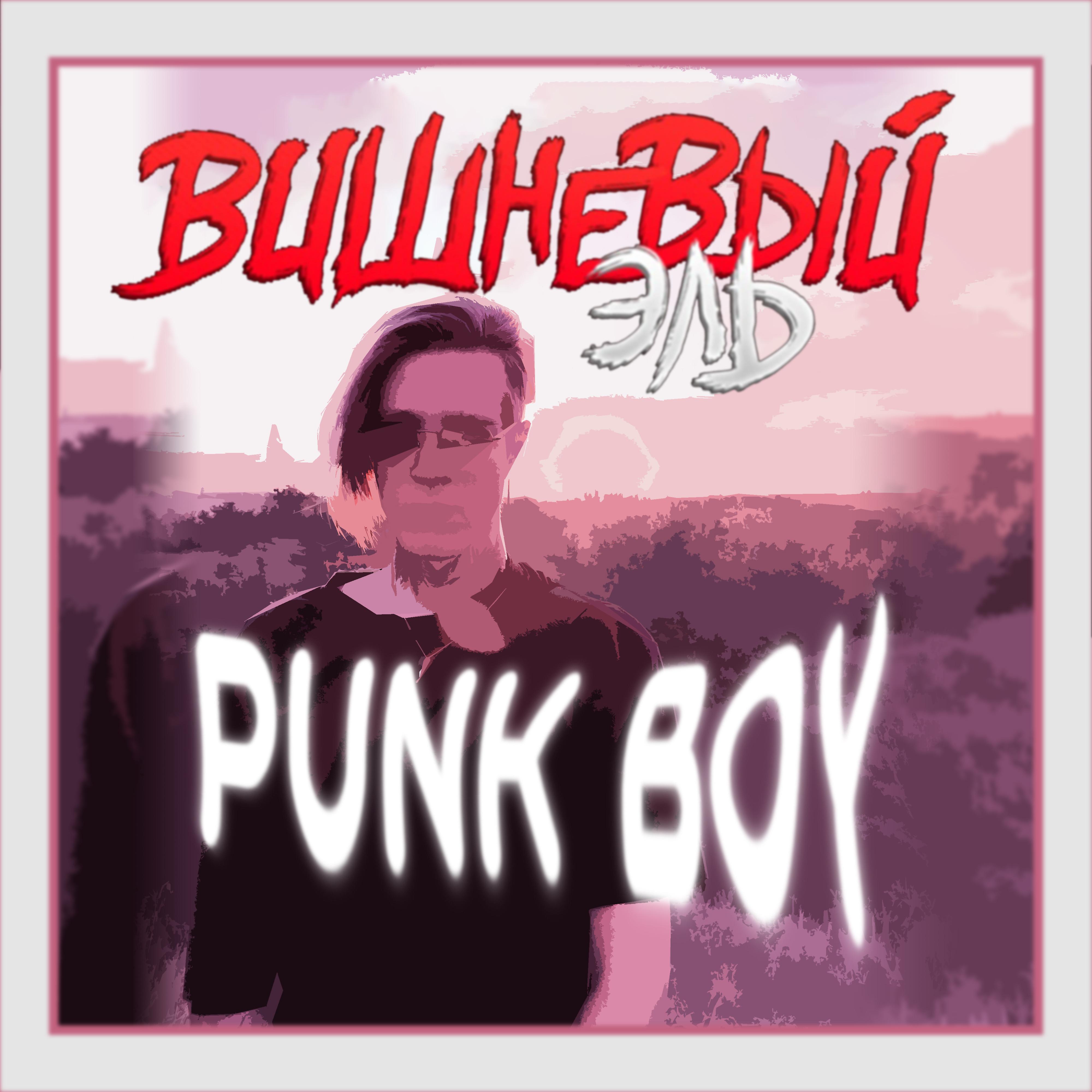 Постер альбома Punk Boy