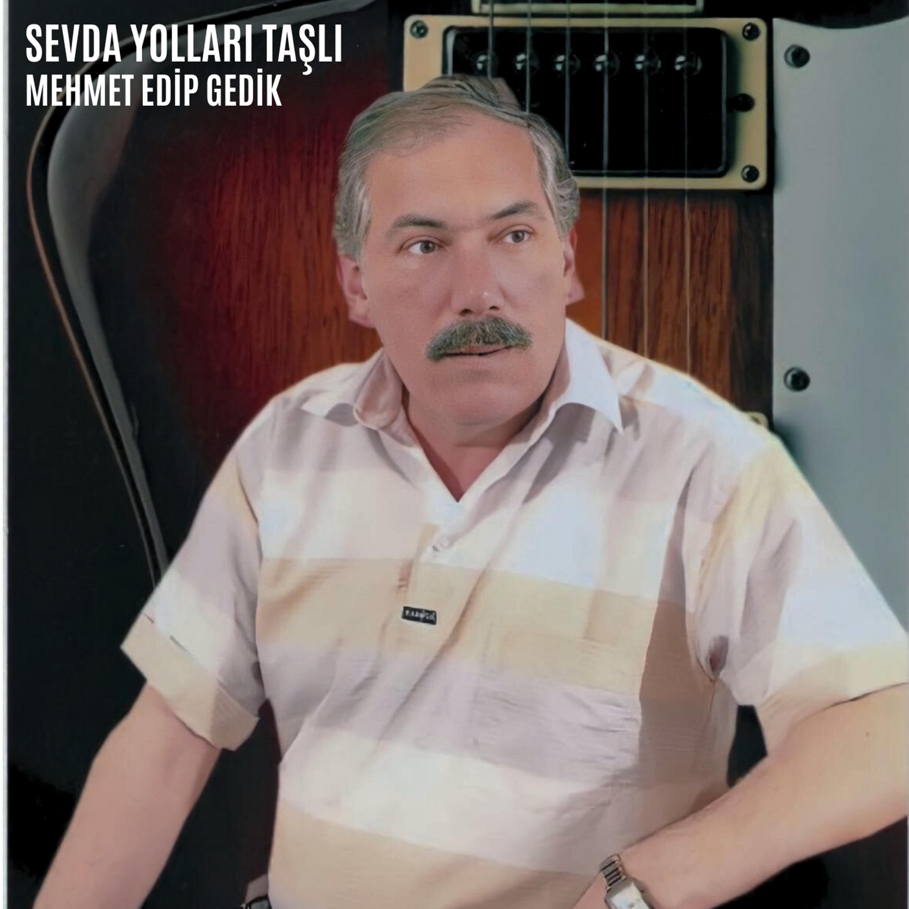 Постер альбома Sevda Yolları Taşlı
