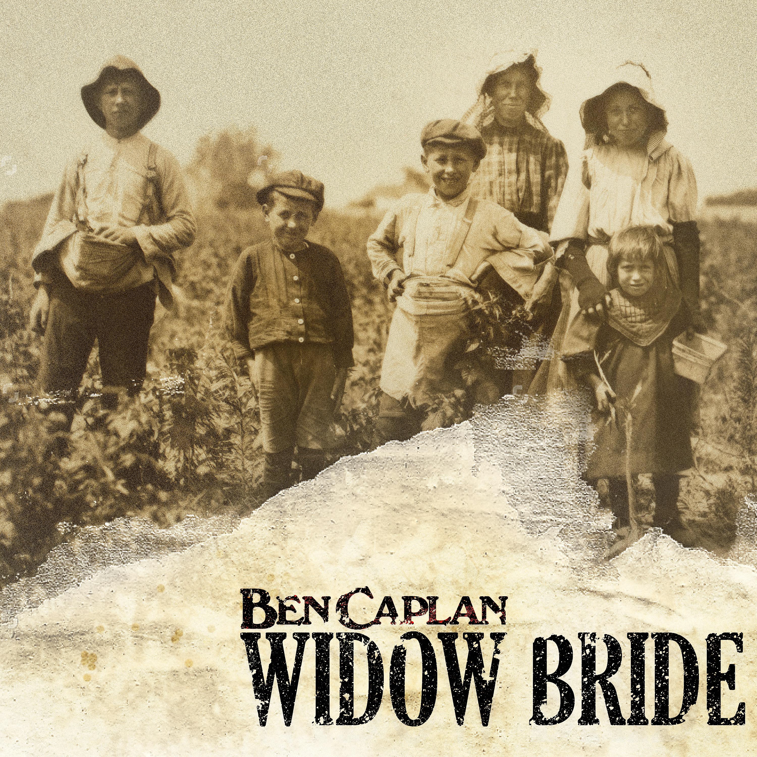 Постер альбома Widow Bride