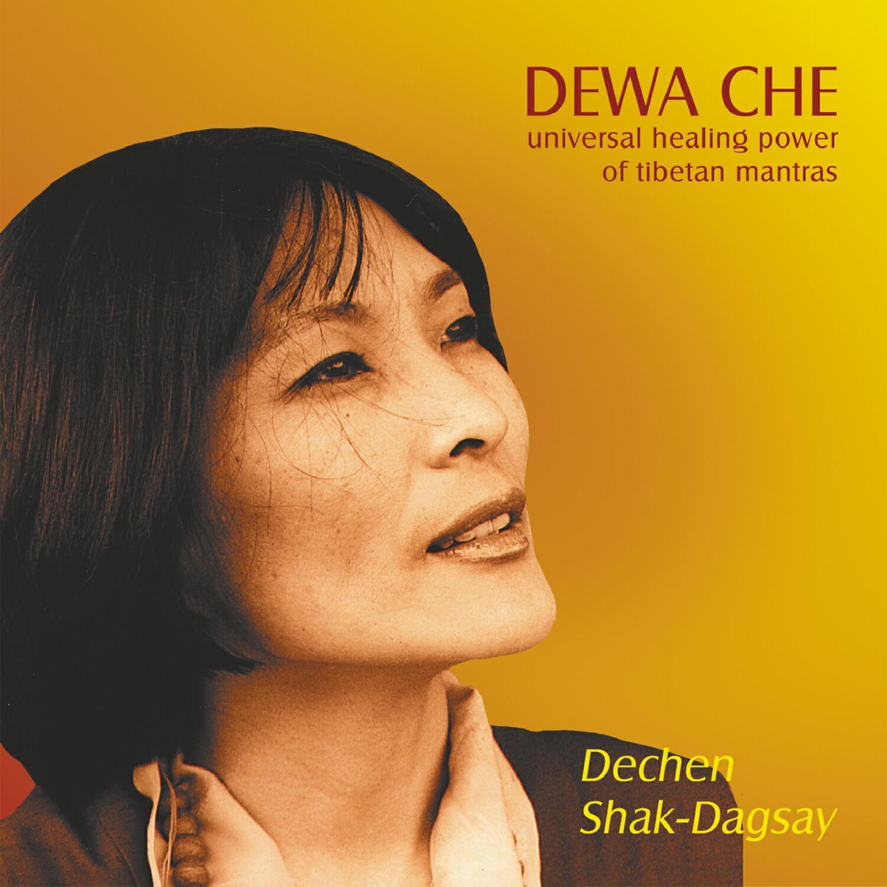 Постер альбома Dewa Che