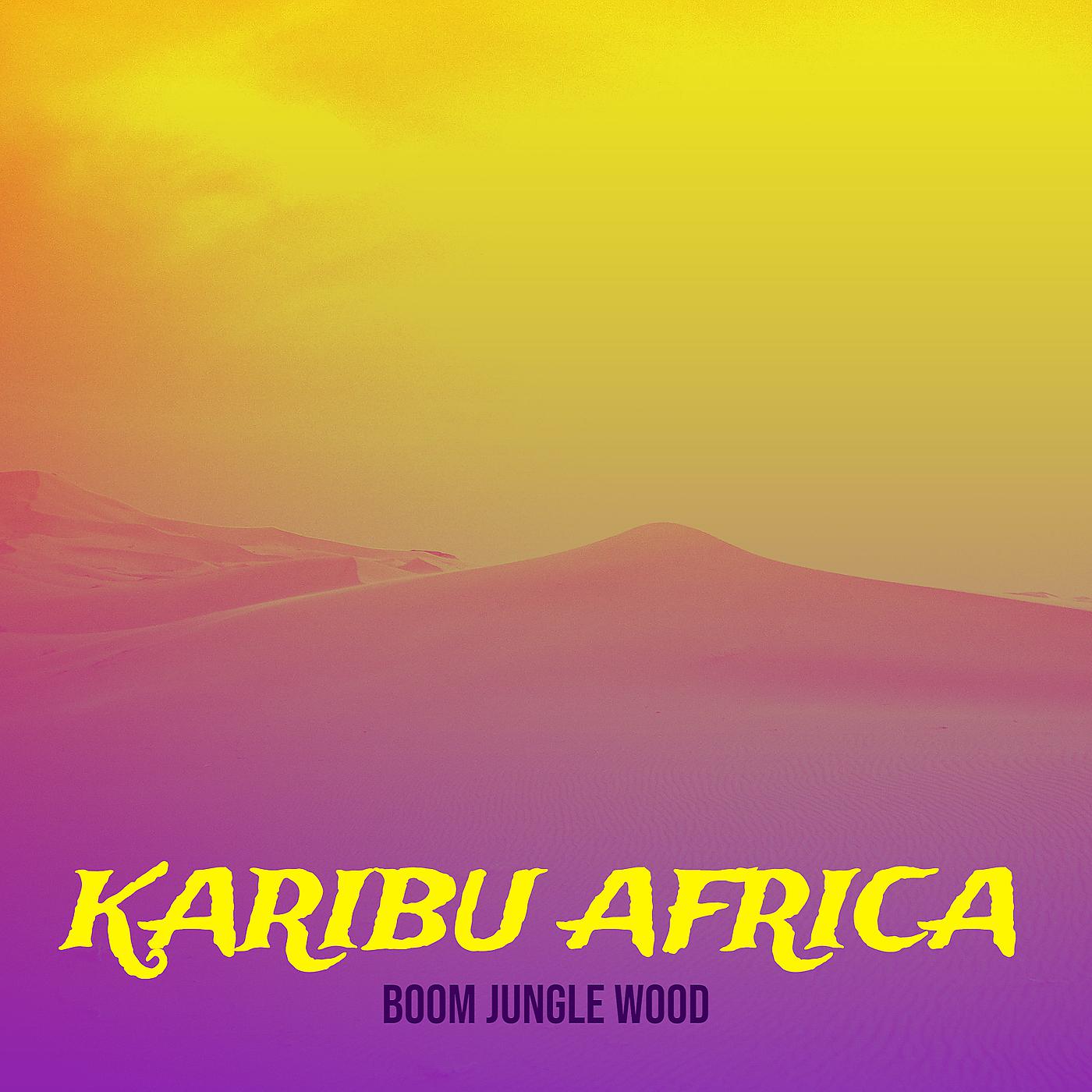 Постер альбома Karibu Africa