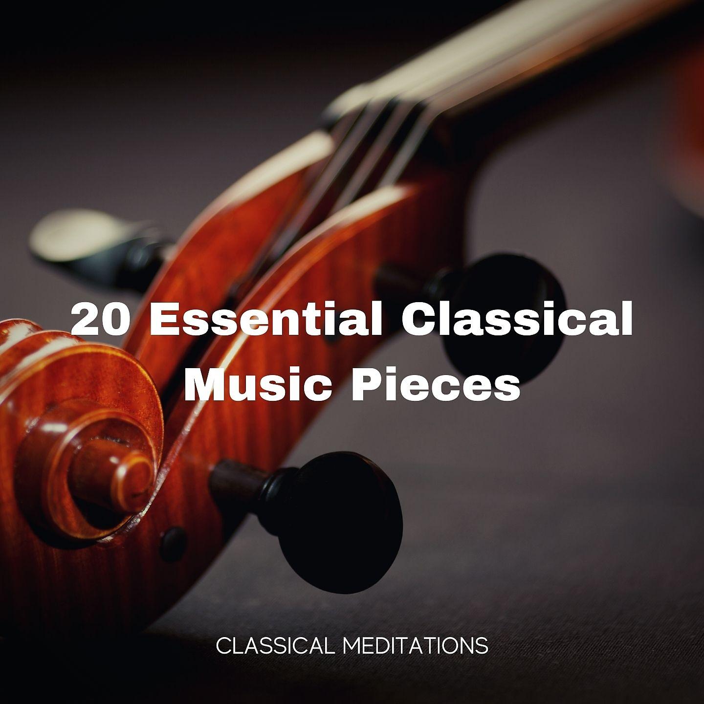Постер альбома 20 Essential Classical Music Pieces