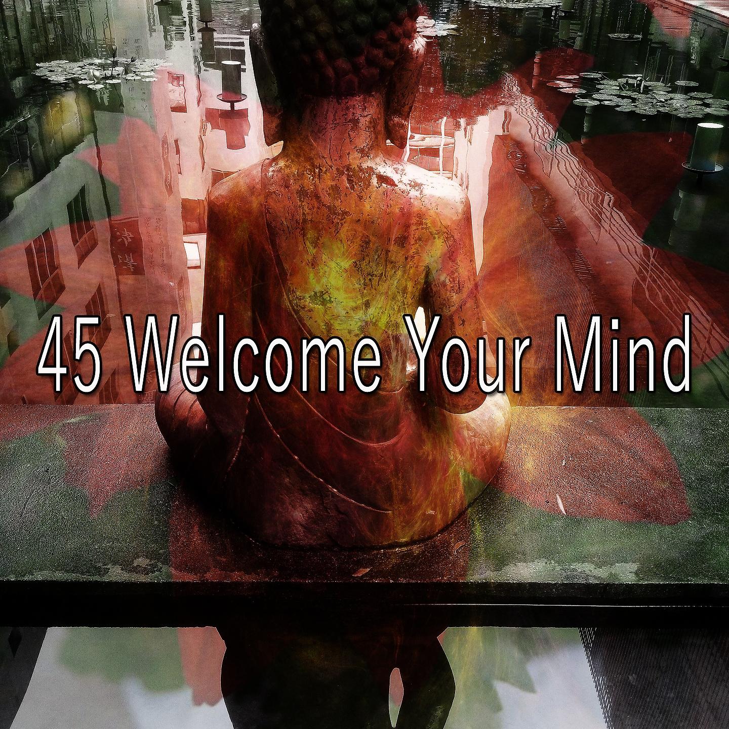 Постер альбома 45 Welcome Your Mind