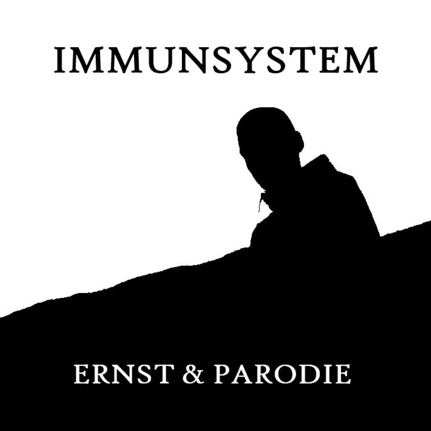 Постер альбома Ernst & Parodie