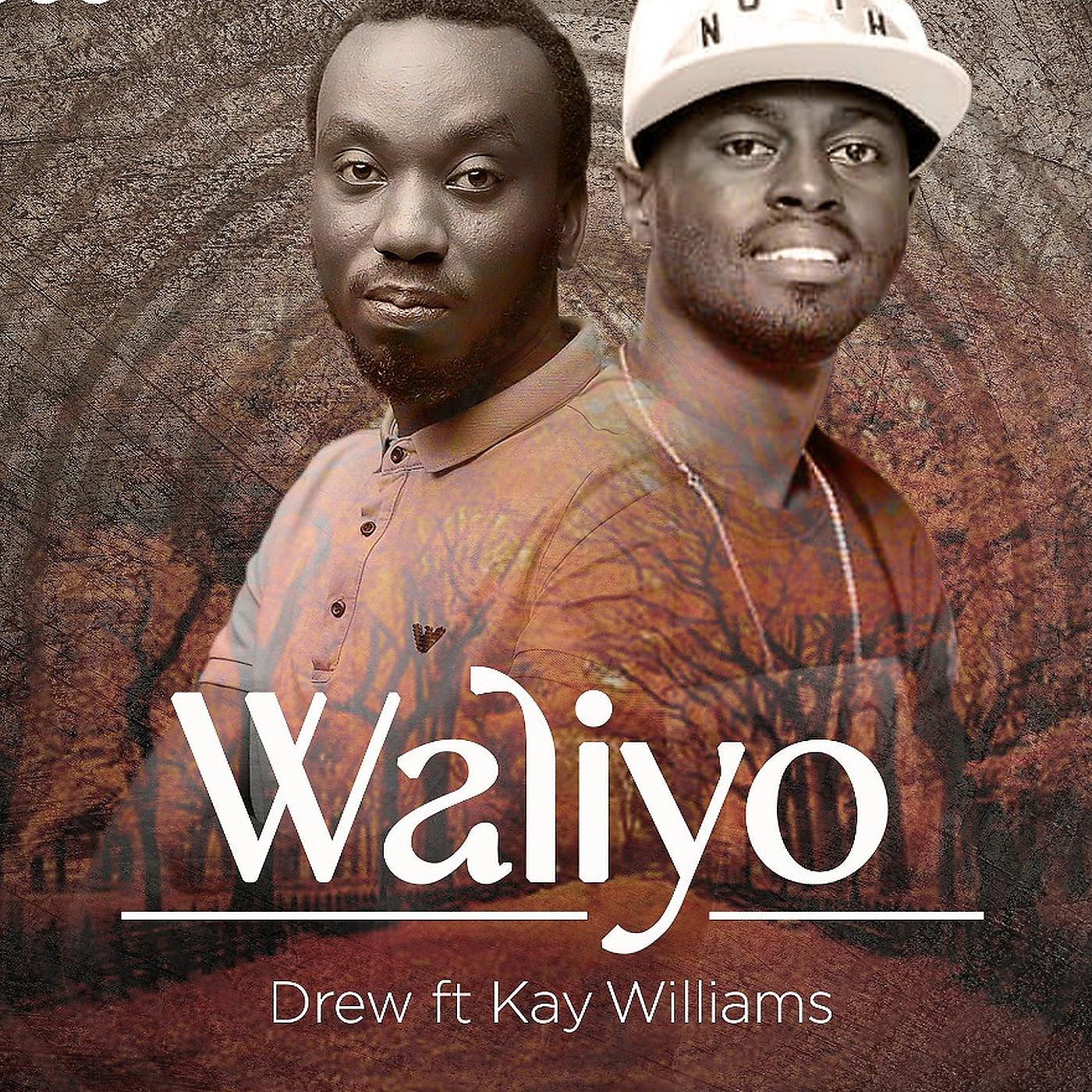 Постер альбома Waliyo