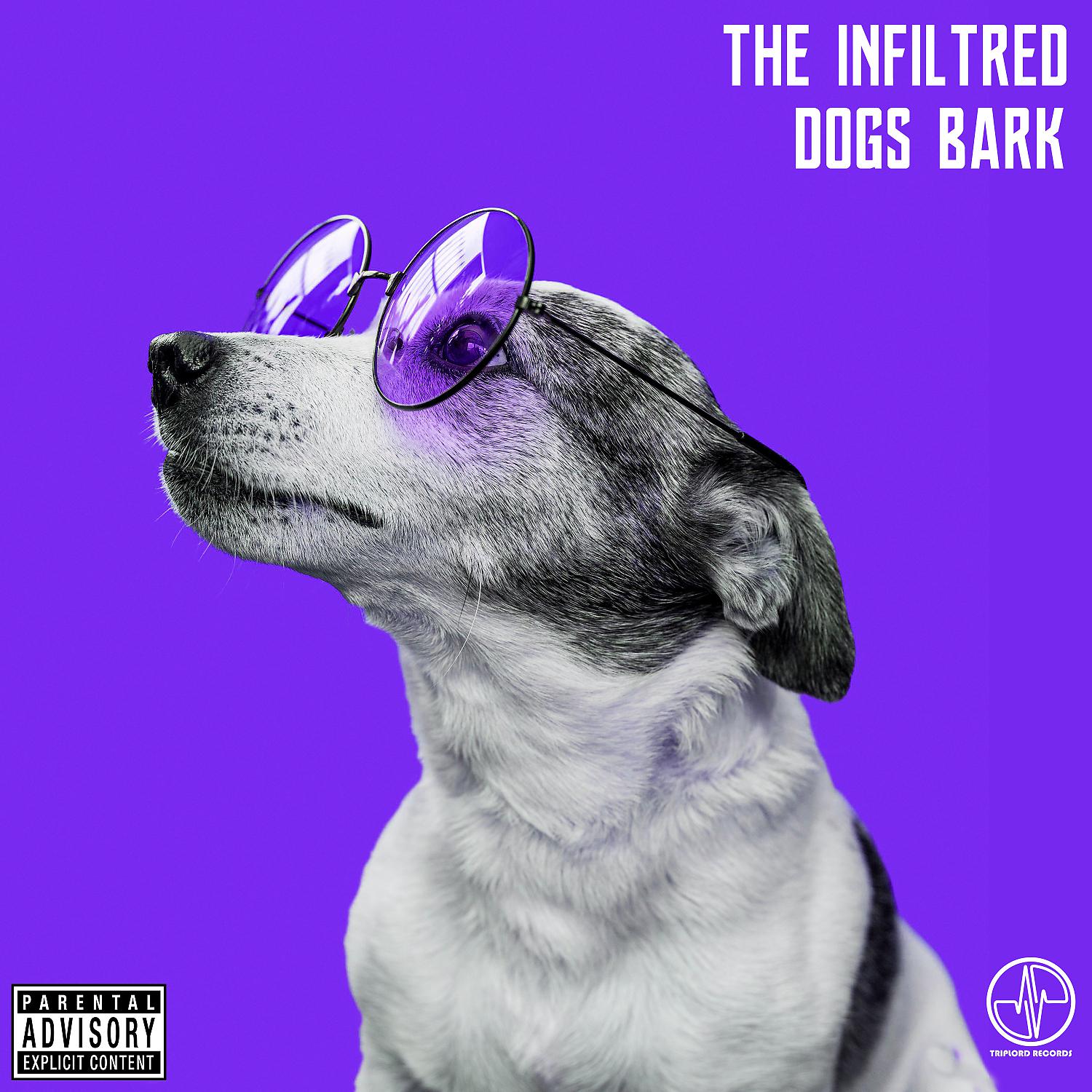 Постер альбома Dogs Bark