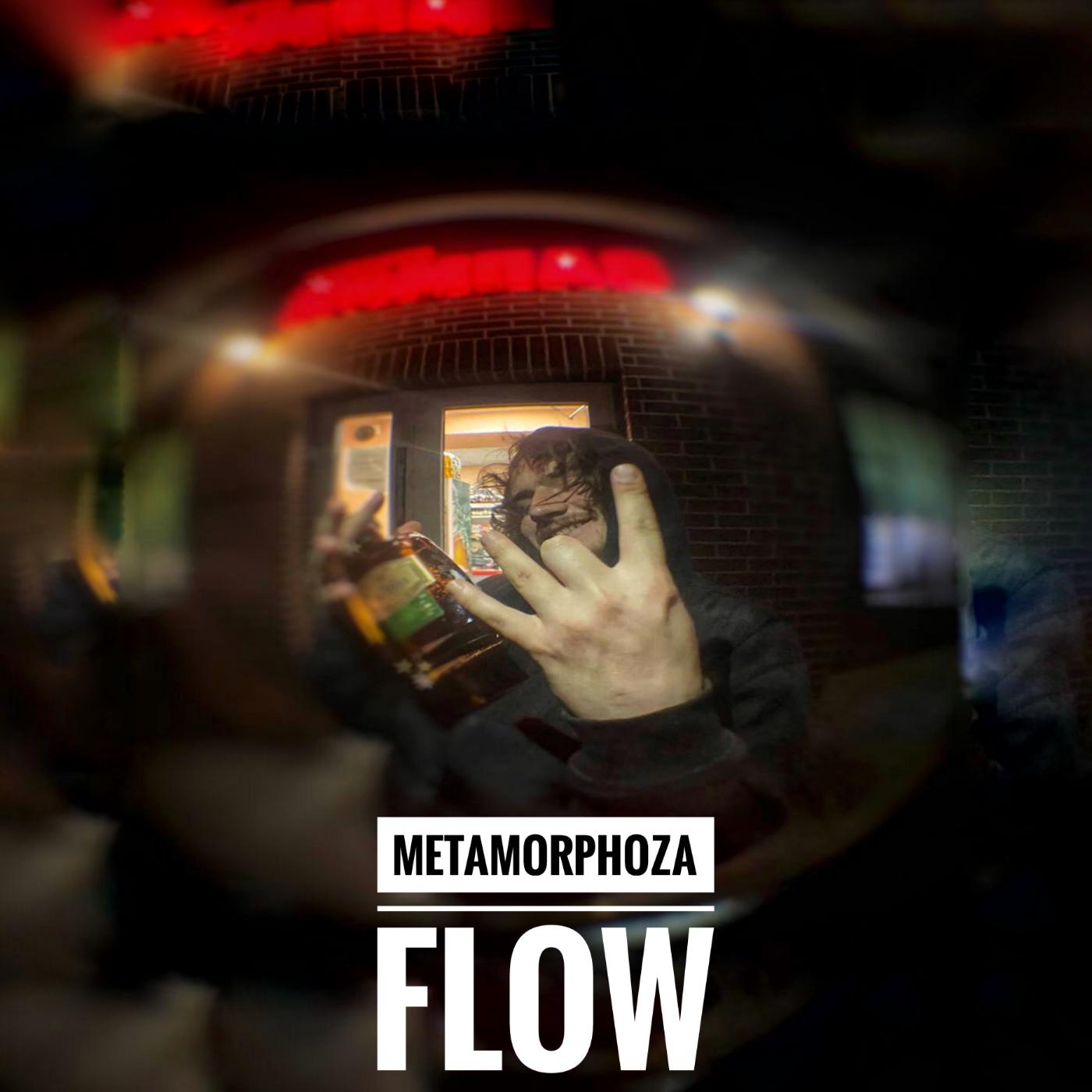 Постер альбома Metamorphozaflow