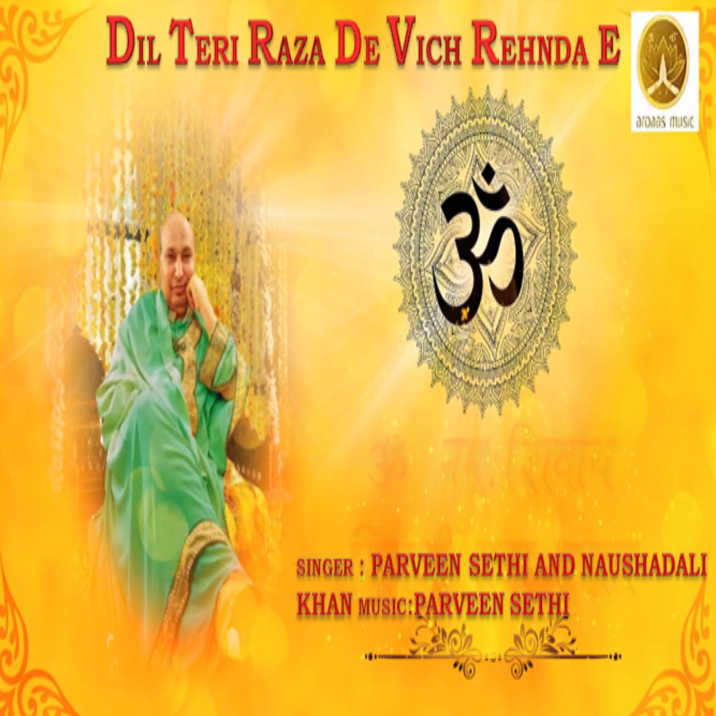 Постер альбома Dil Teri Raza De Vich Rehnda E