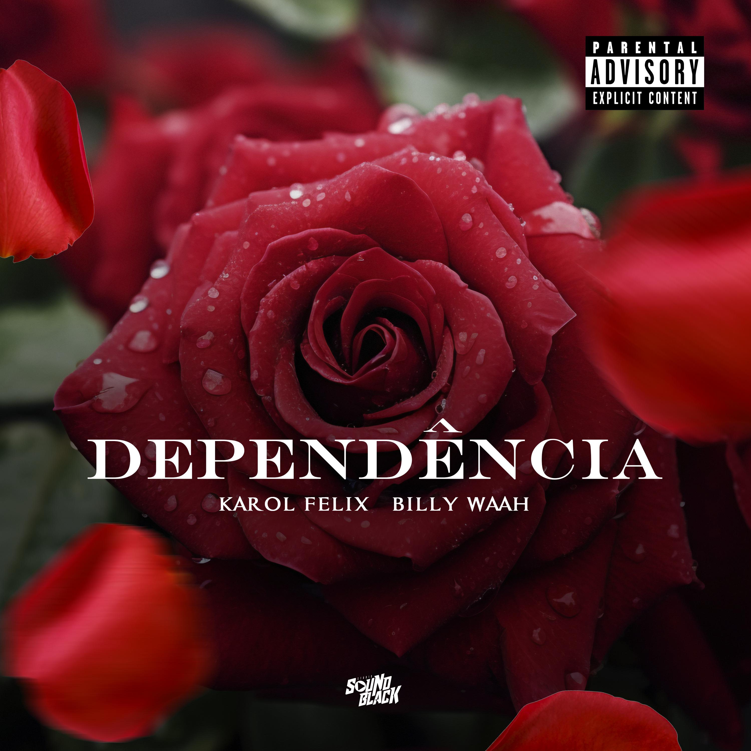 Постер альбома Dependência