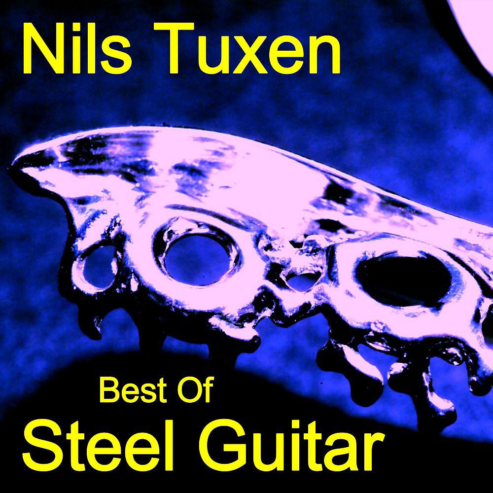 Постер альбома Best of Steel Guitar