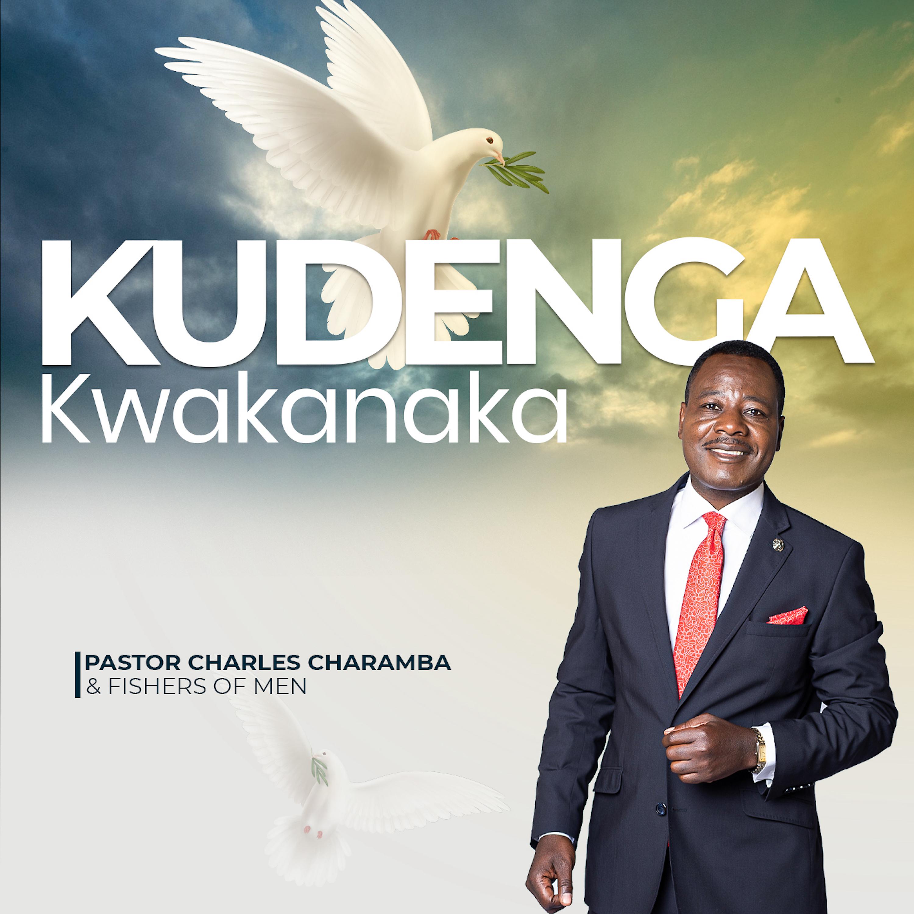 Постер альбома Kudenga Kwakanaka
