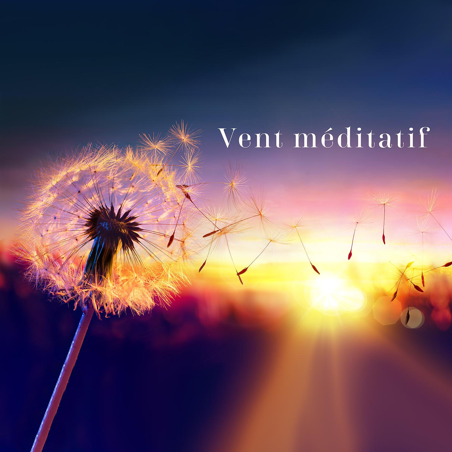 Постер альбома Vent méditatif: Sons de la nature pour la réflexion et le repos