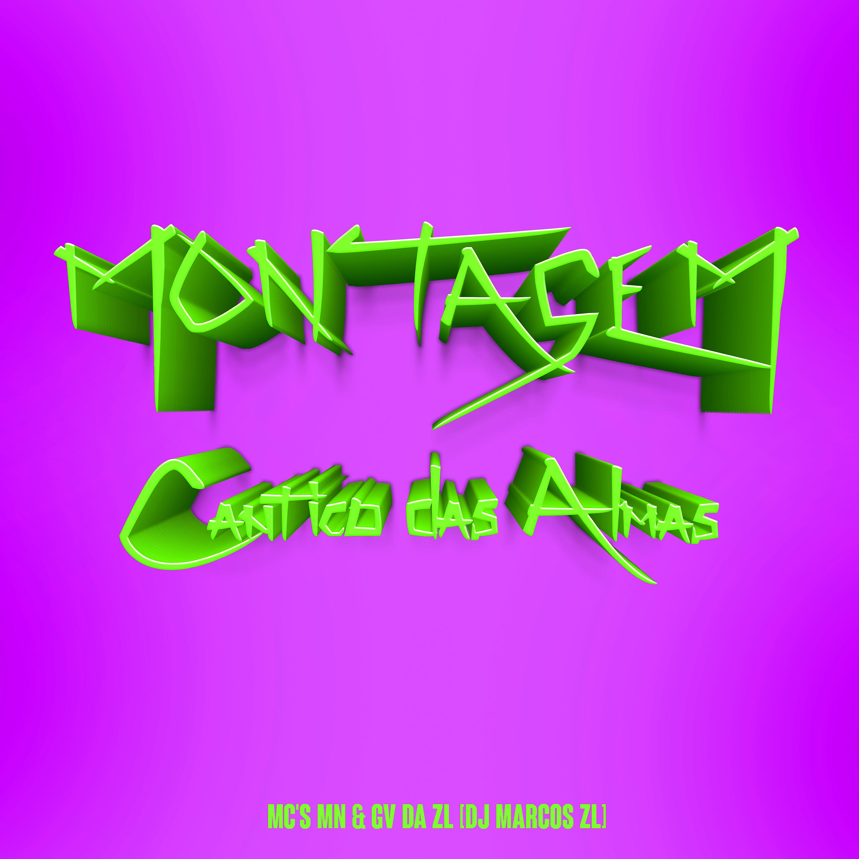 Постер альбома Montagem - Cântico das Almas