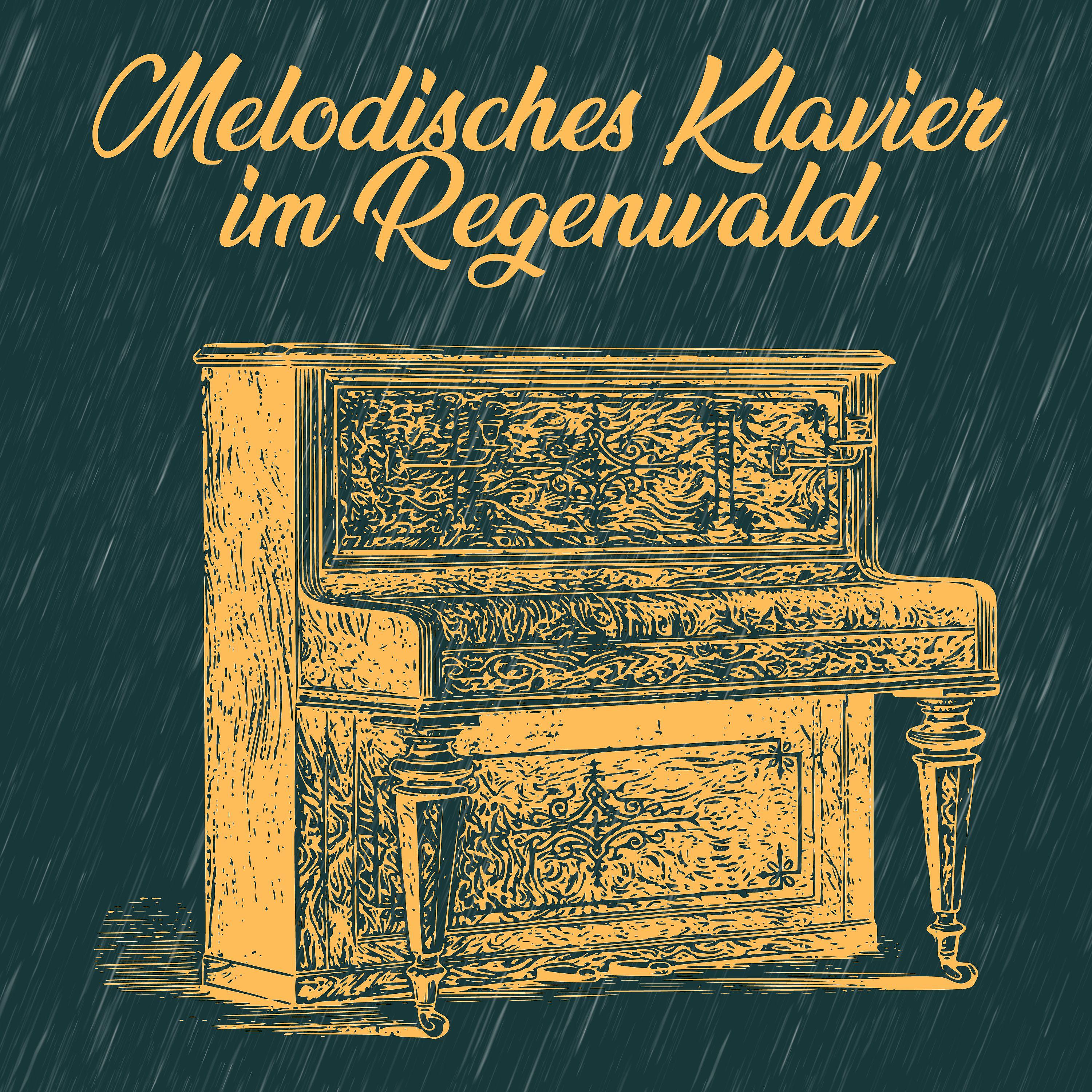 Постер альбома Melodisches Klavier im Regenwald
