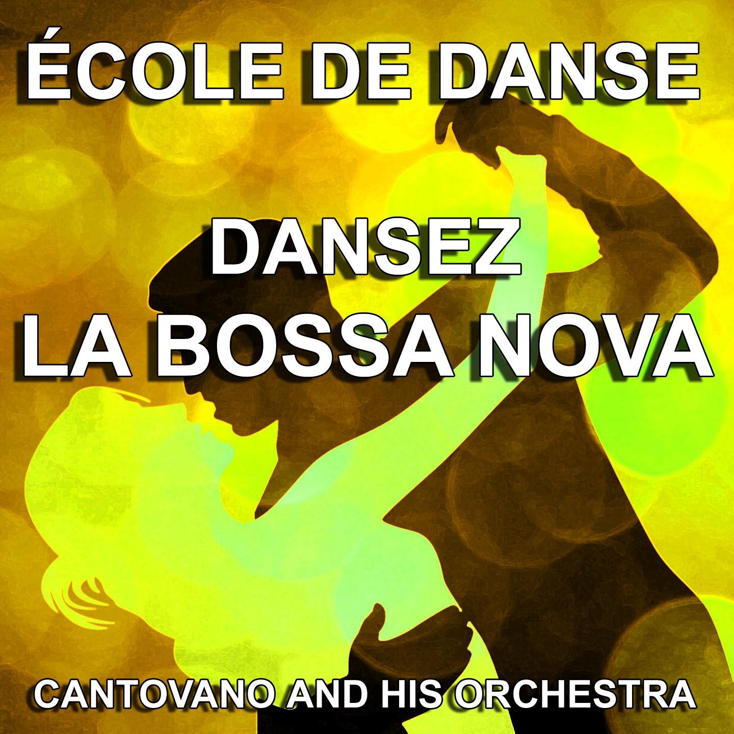 Постер альбома Dansez la Bossa Nova