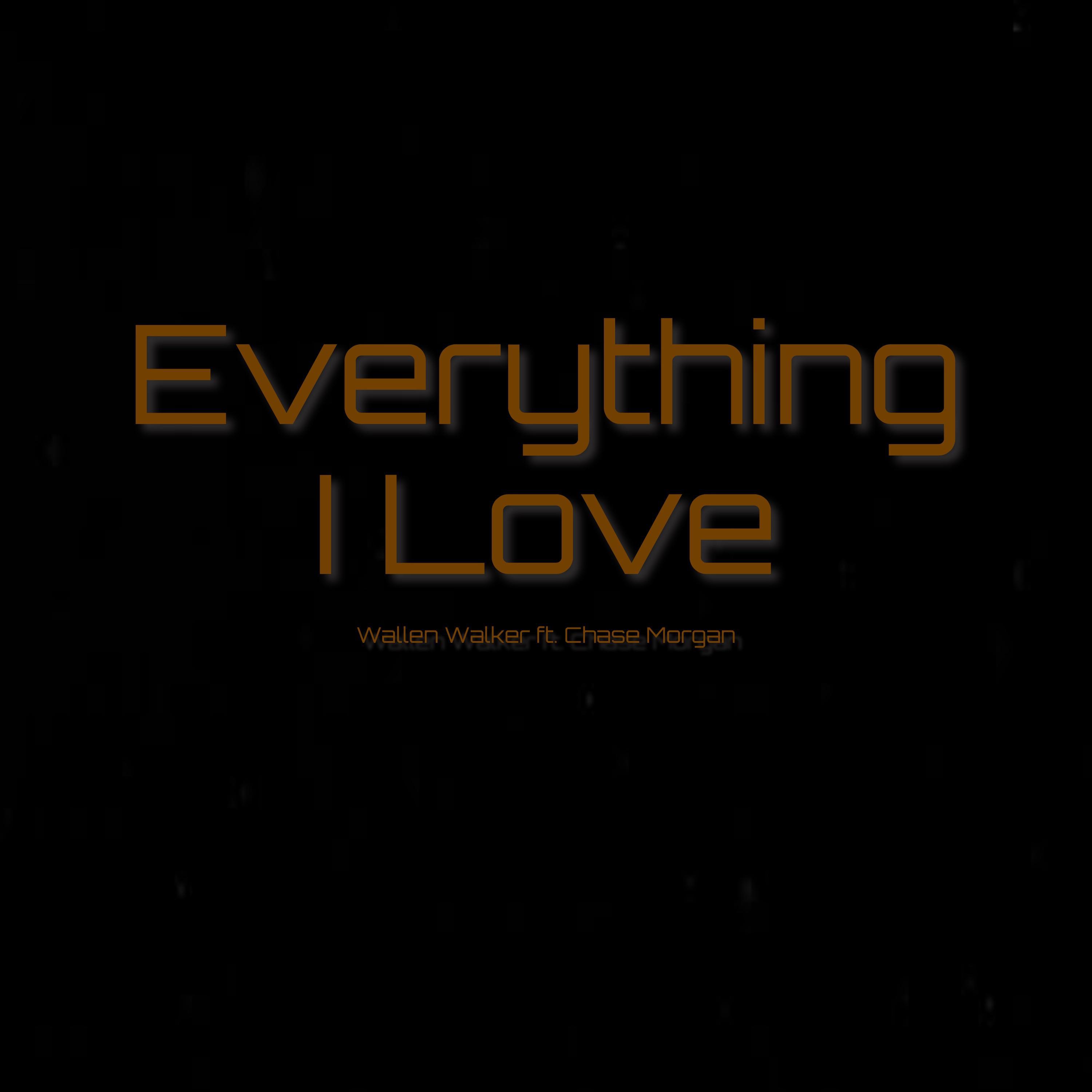 Постер альбома Everything I Love (feat. Chase Morgan)