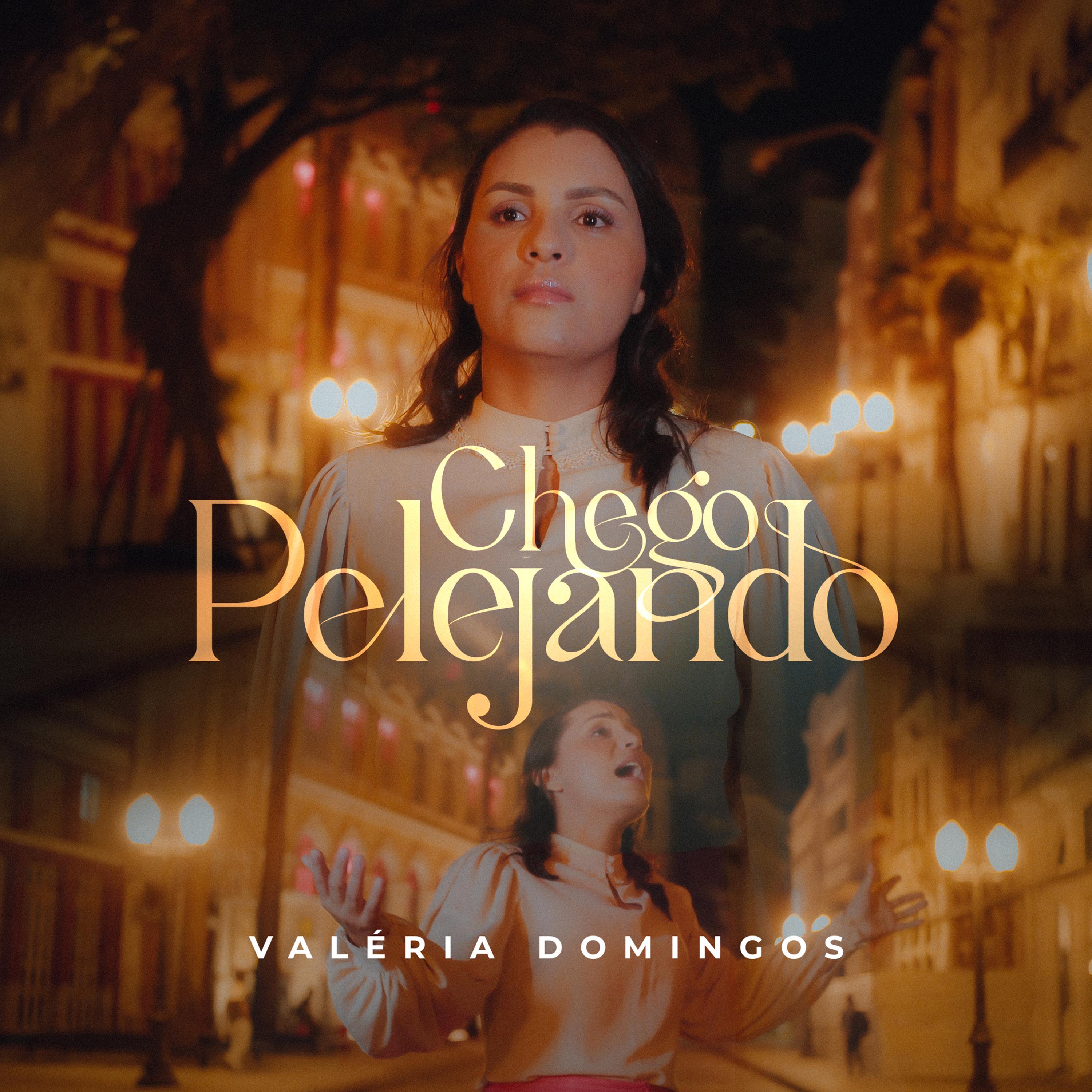 Постер альбома Chego Pelejando
