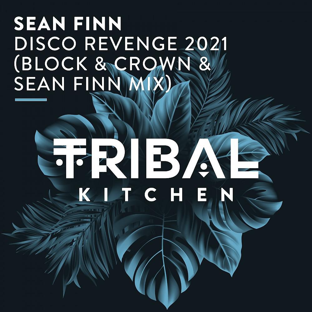 Постер альбома Disco Revenge 2021 (Block & Crown & Sean Finn Mix)