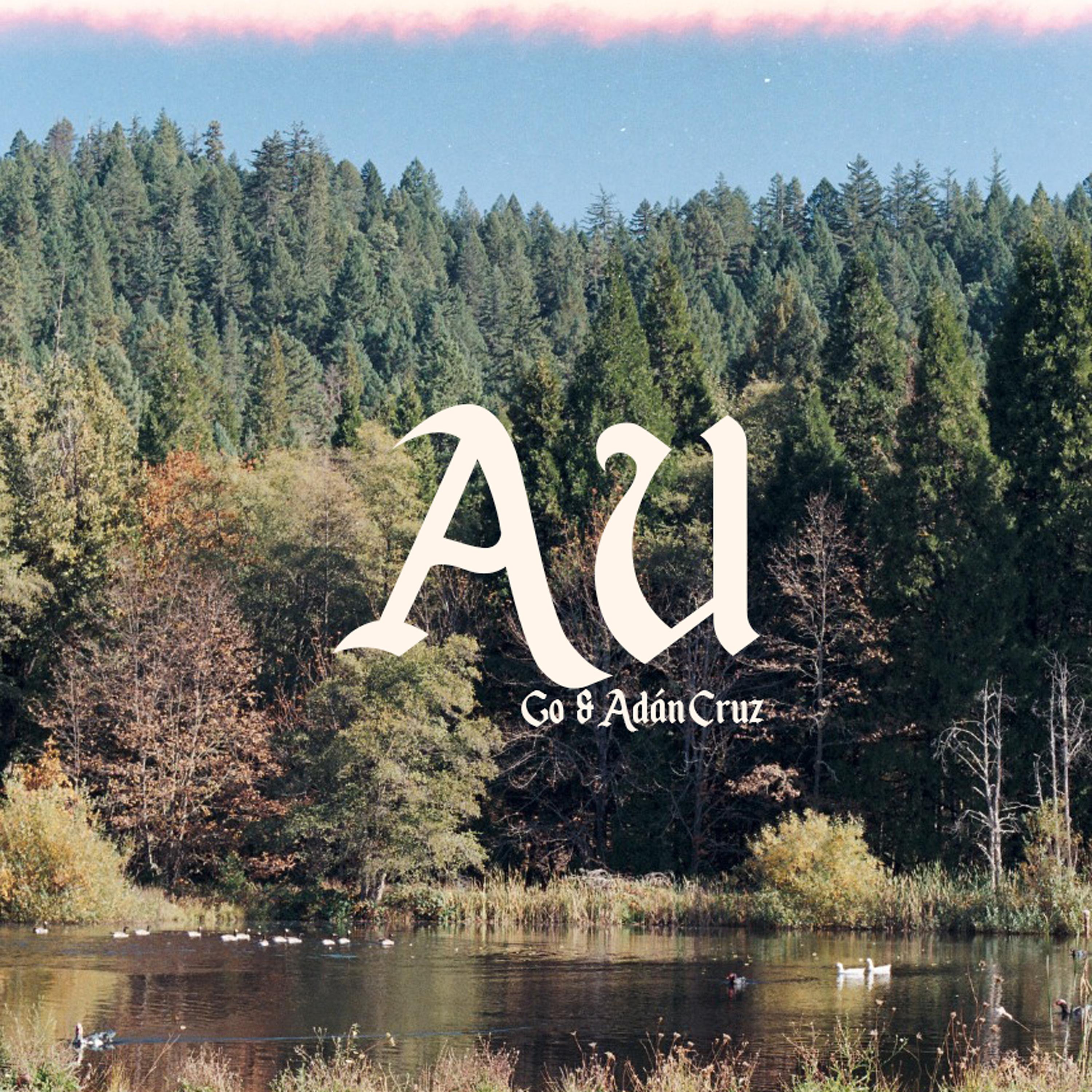 Постер альбома AU