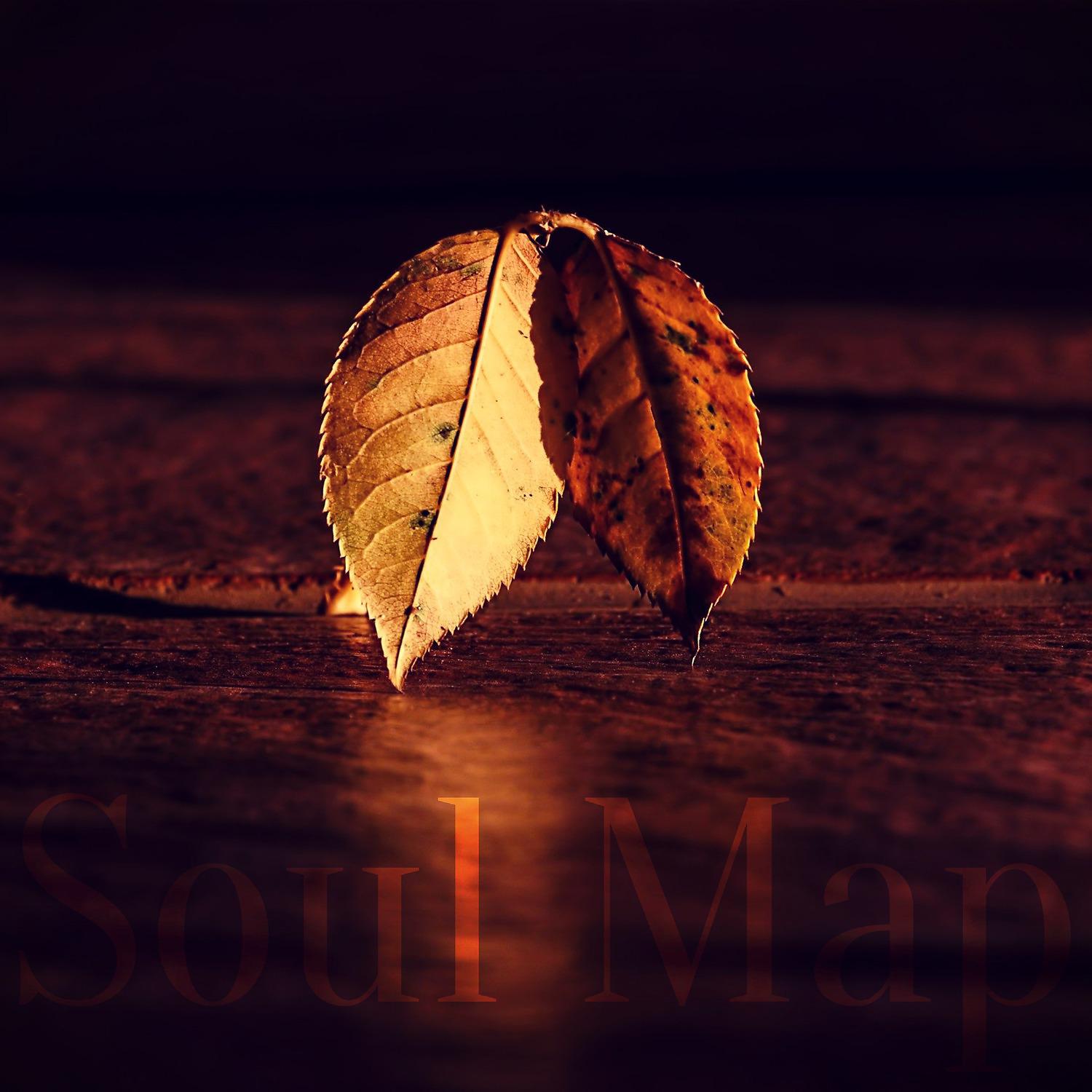 Постер альбома Soul Map