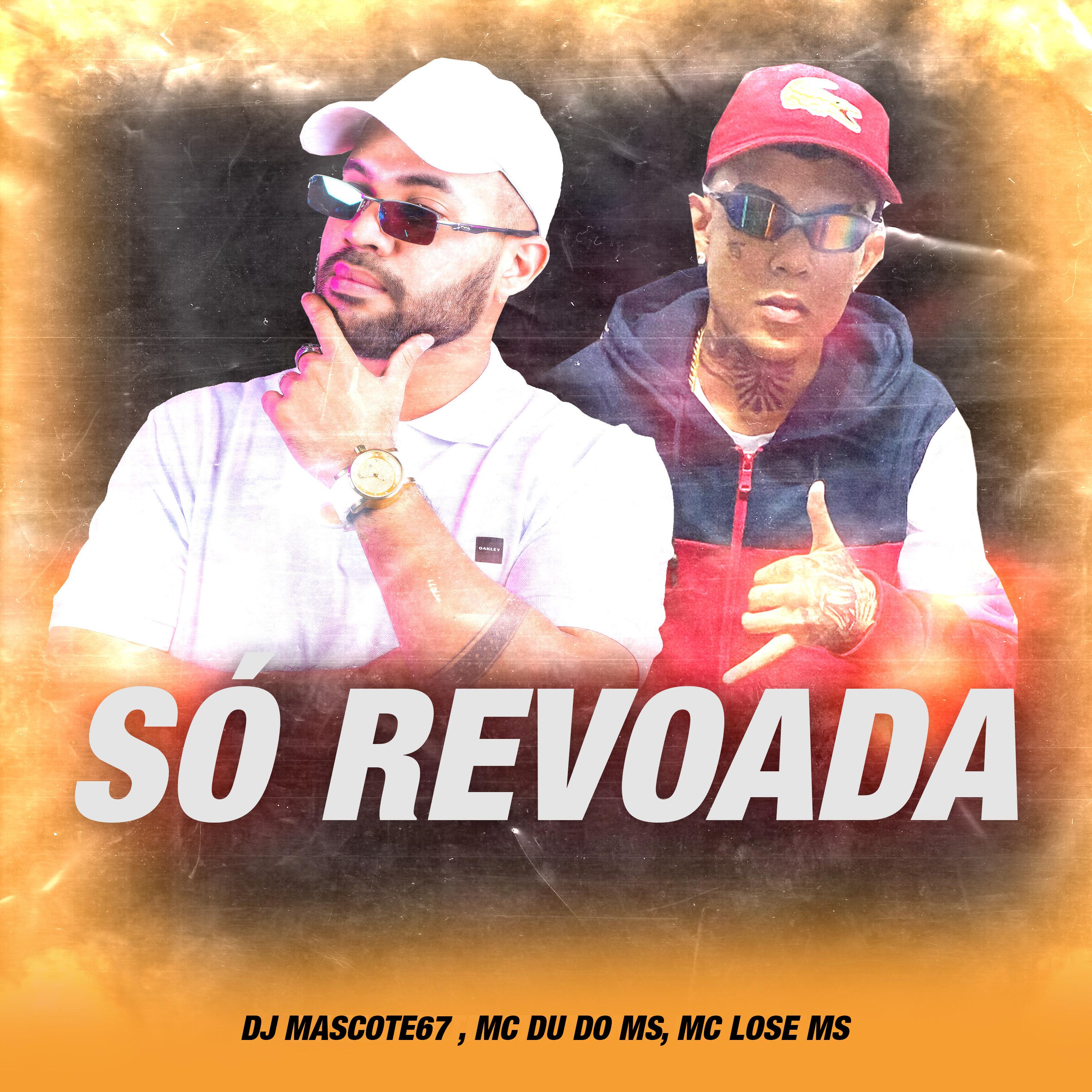 Постер альбома Só Revoada