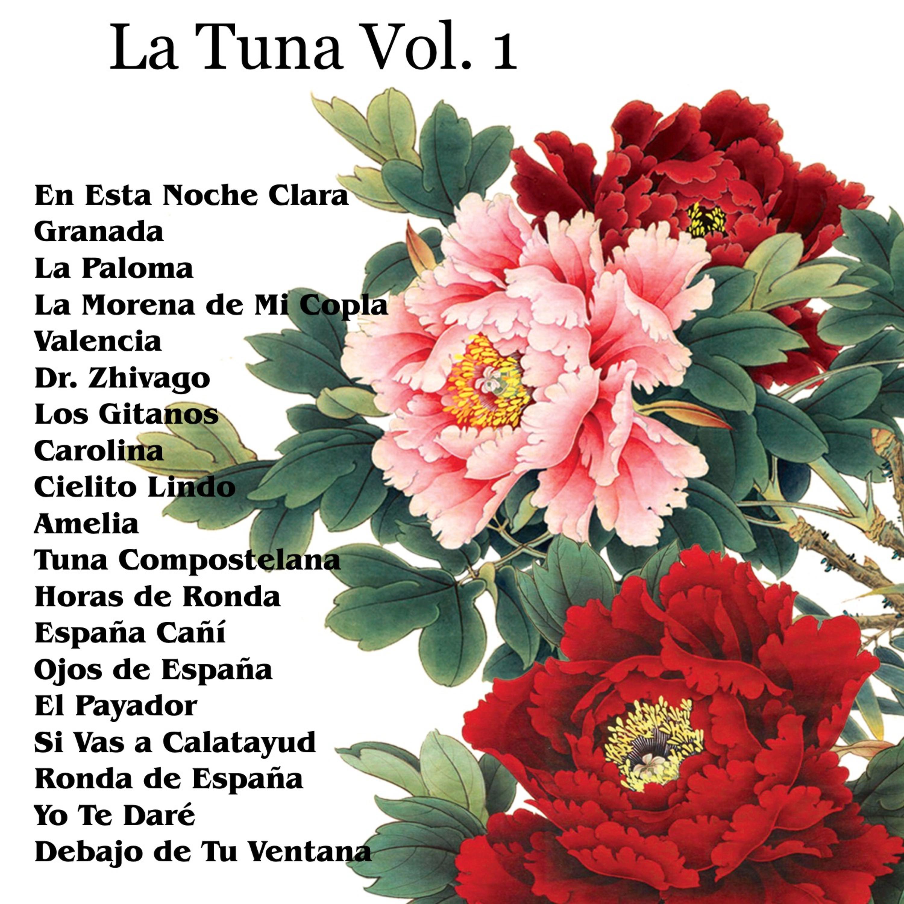 Постер альбома La Tuna Vol. 1