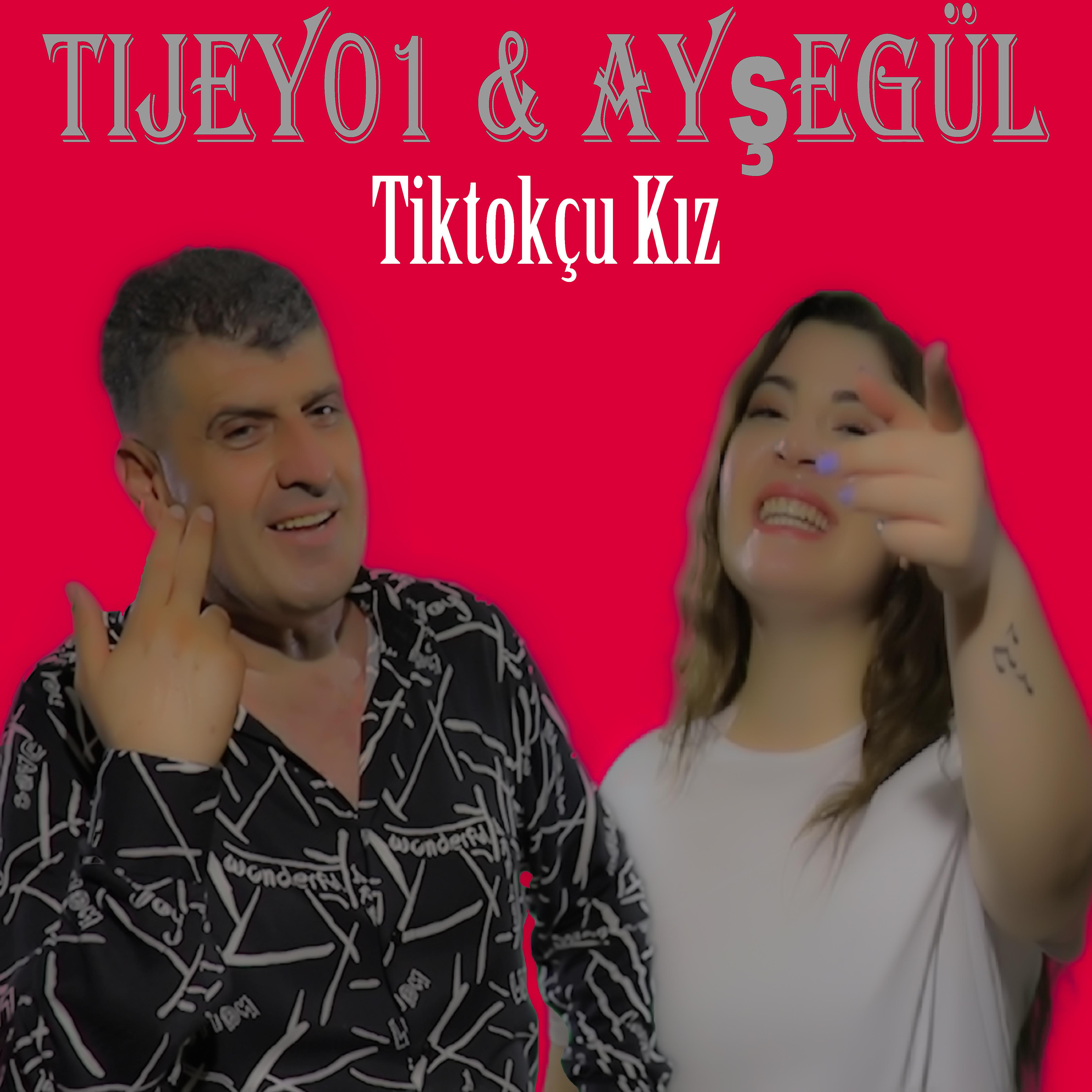 Постер альбома Tiktokçu Kız