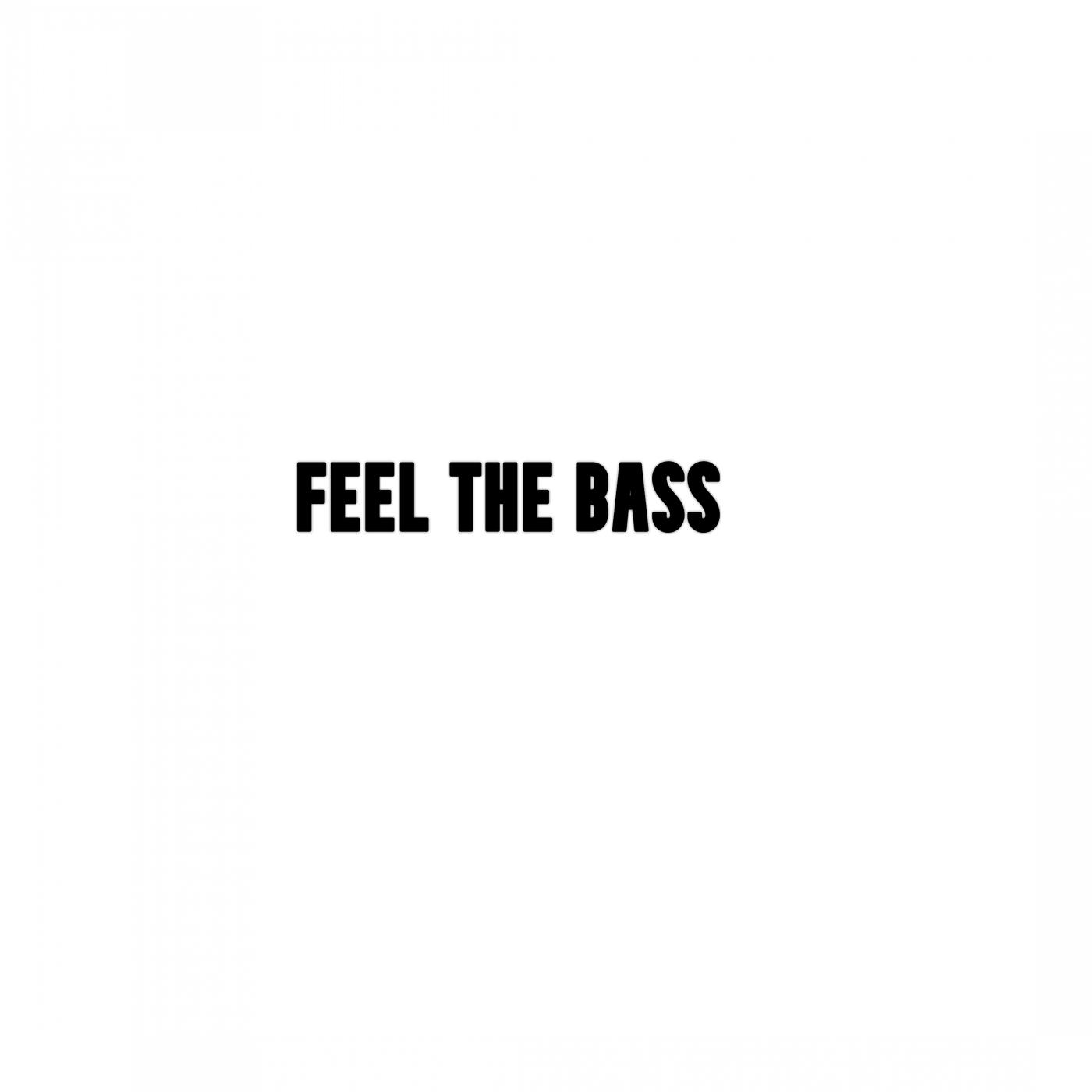 Постер альбома Feel the Bass (DubStep)