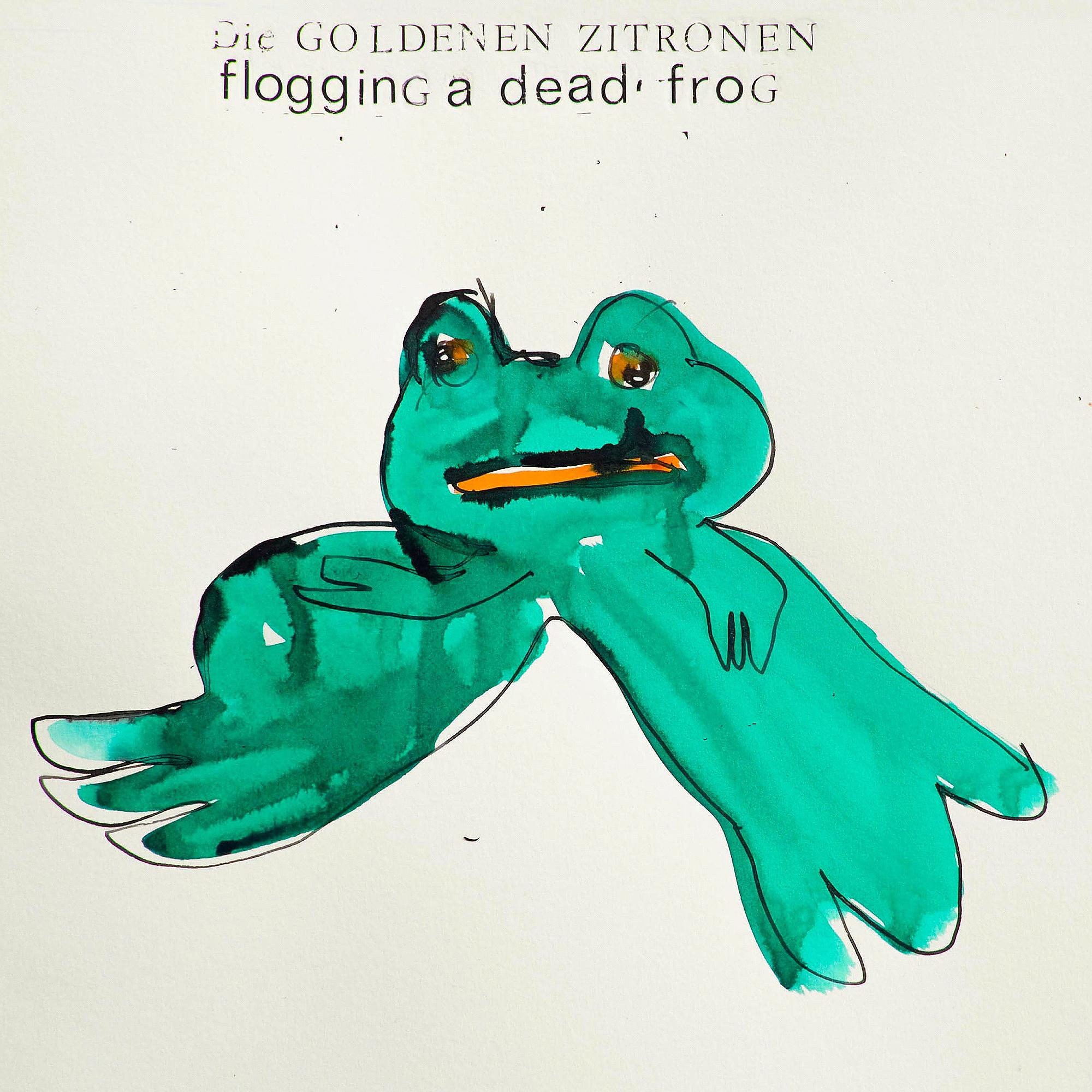 Постер альбома Flogging A Dead Frog