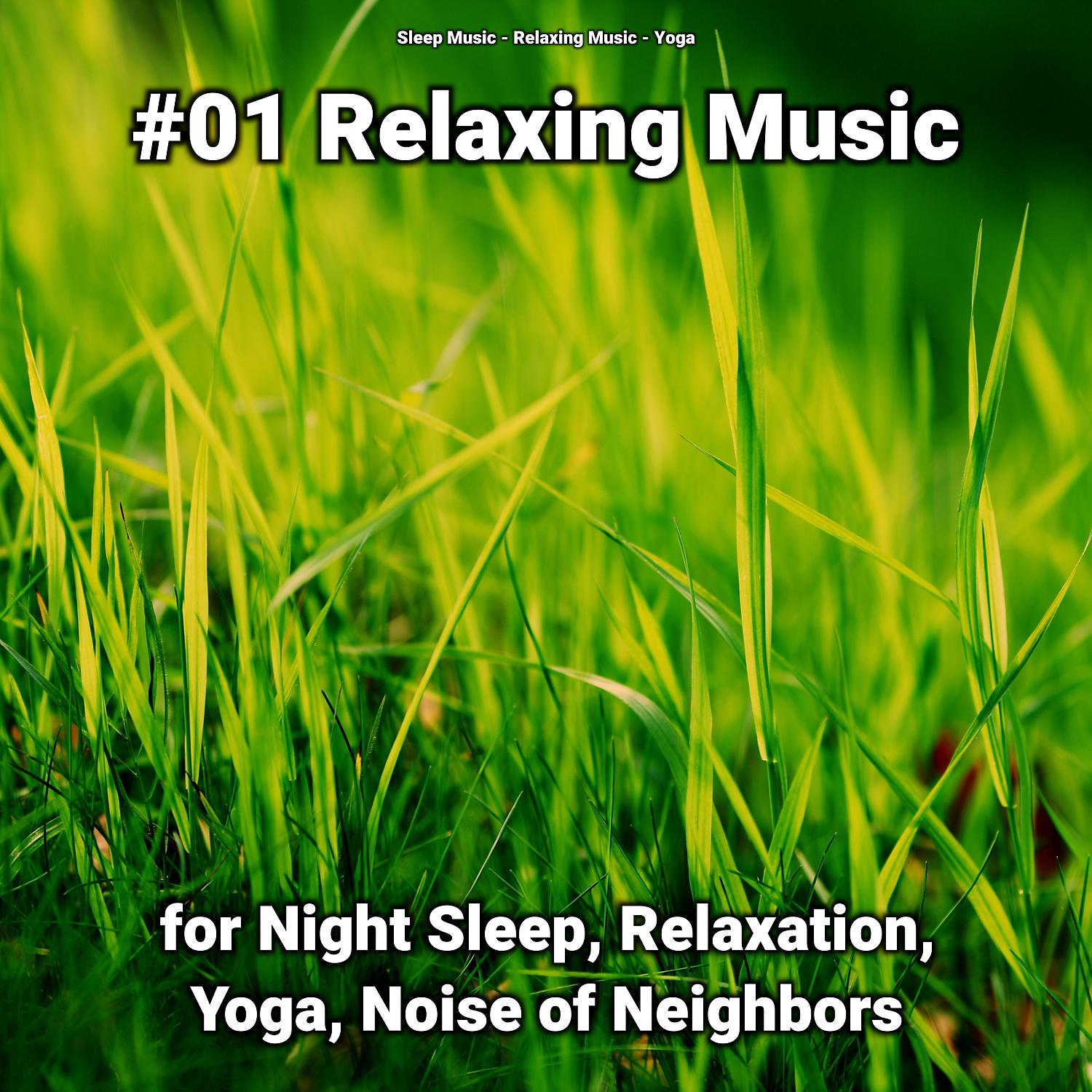 Постер альбома #01 Relaxing Music for Night Sleep, Relaxation, Yoga, Noise of Neighbors