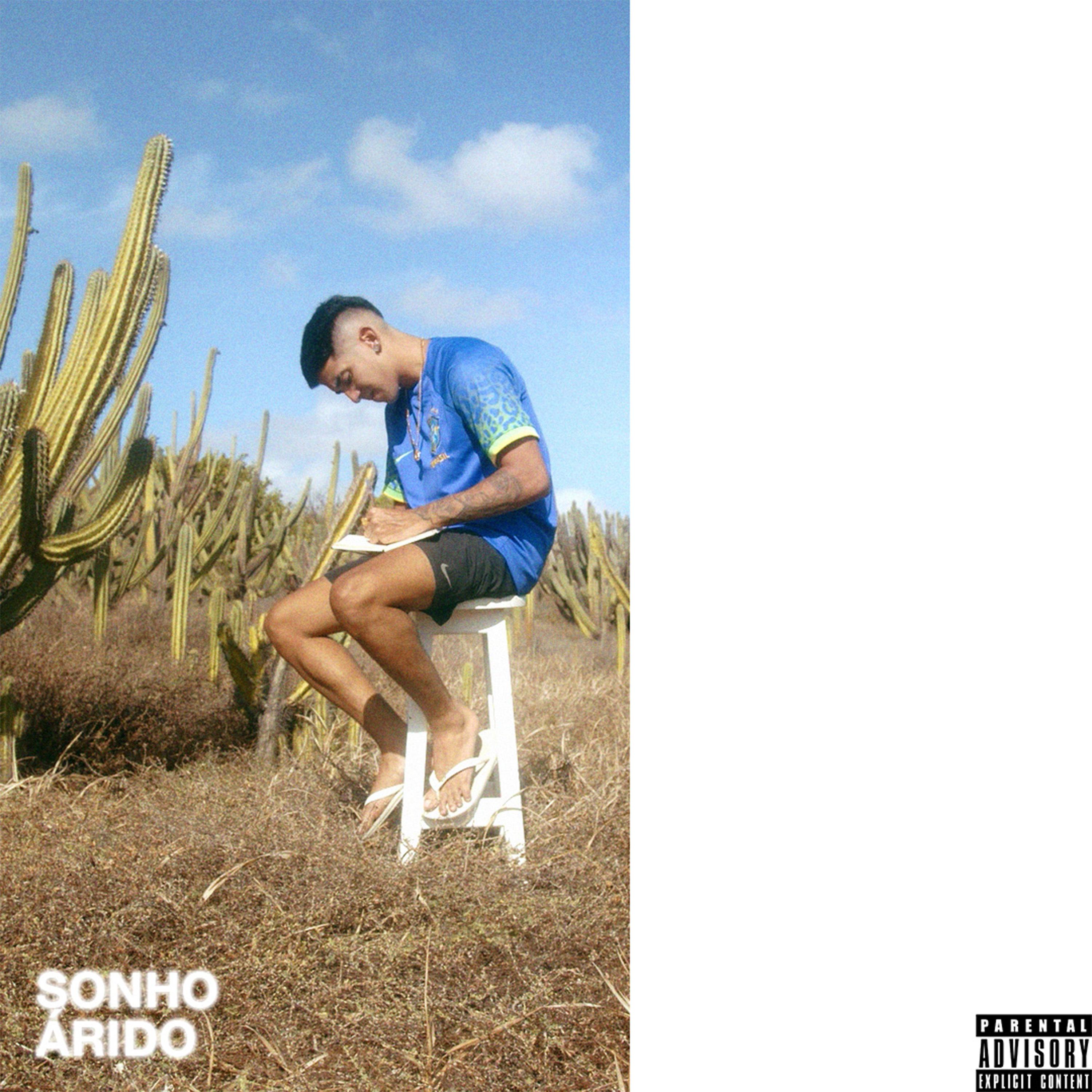 Постер альбома Sonho Árido
