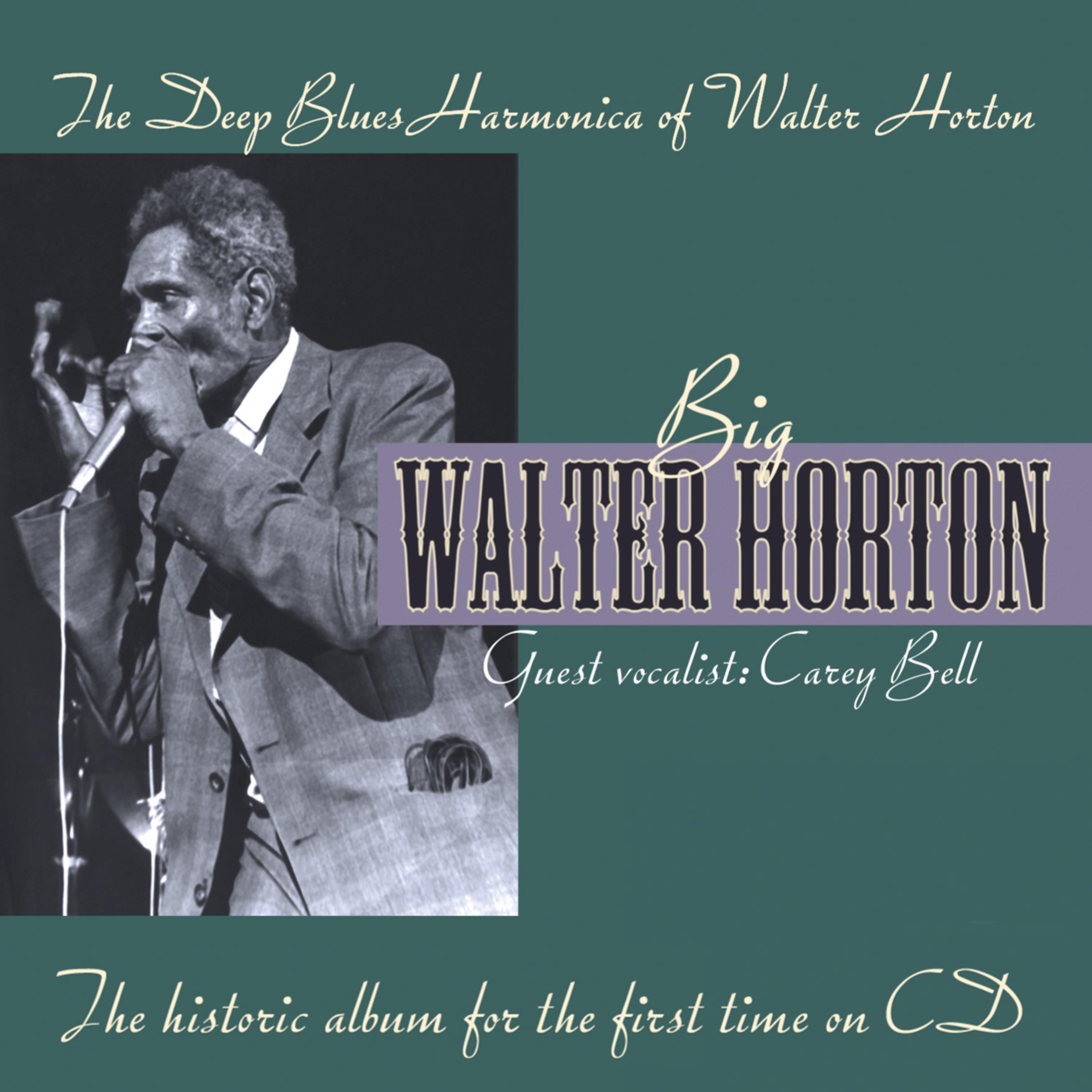 Постер альбома The Deep Blues Harmonica Of Walter Horton