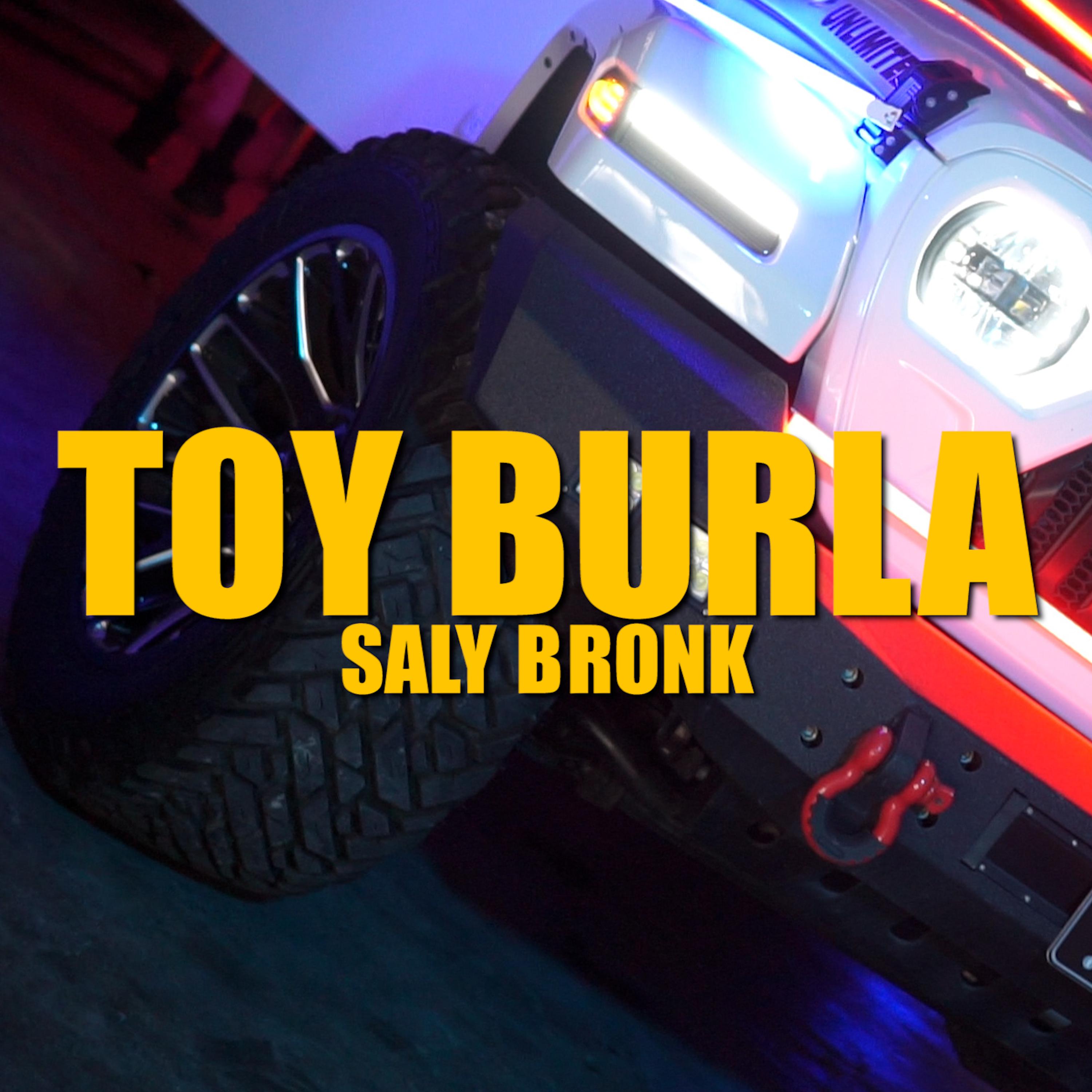 Постер альбома Toy Burla