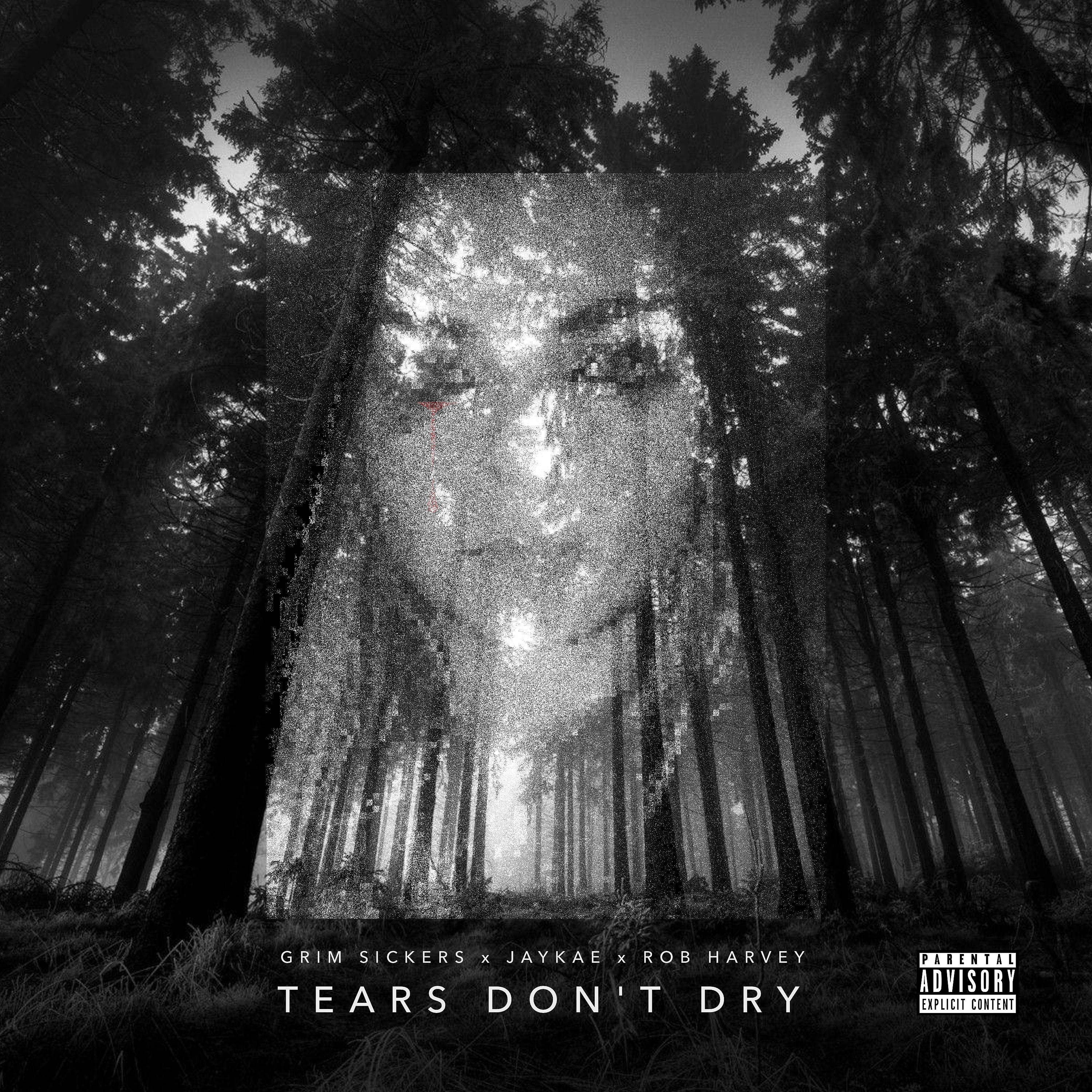 Постер альбома Tears Don't Dry