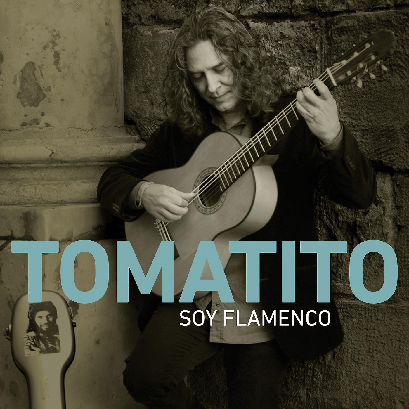 Постер альбома Soy Flamenco