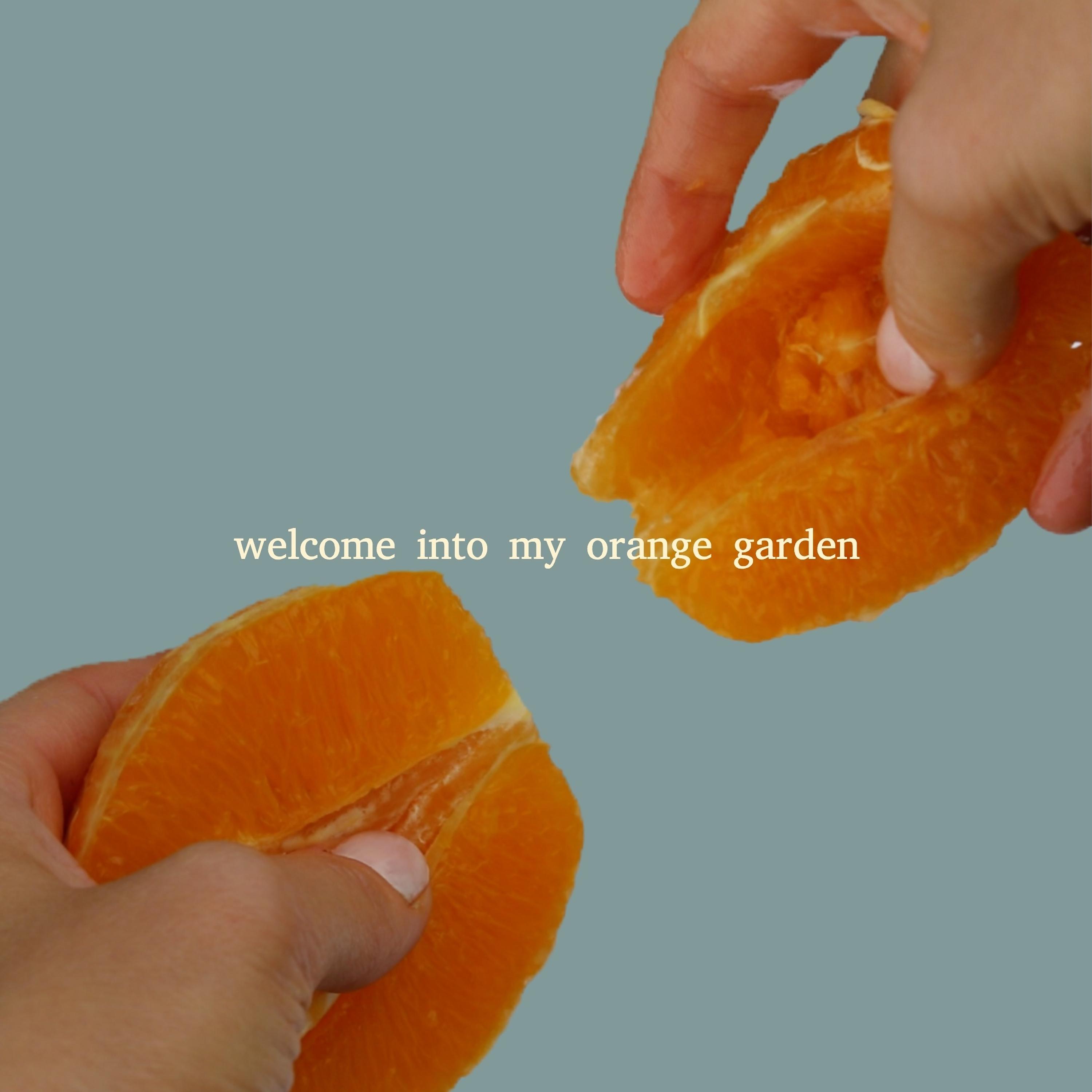Постер альбома Welcome into My Orange Garden