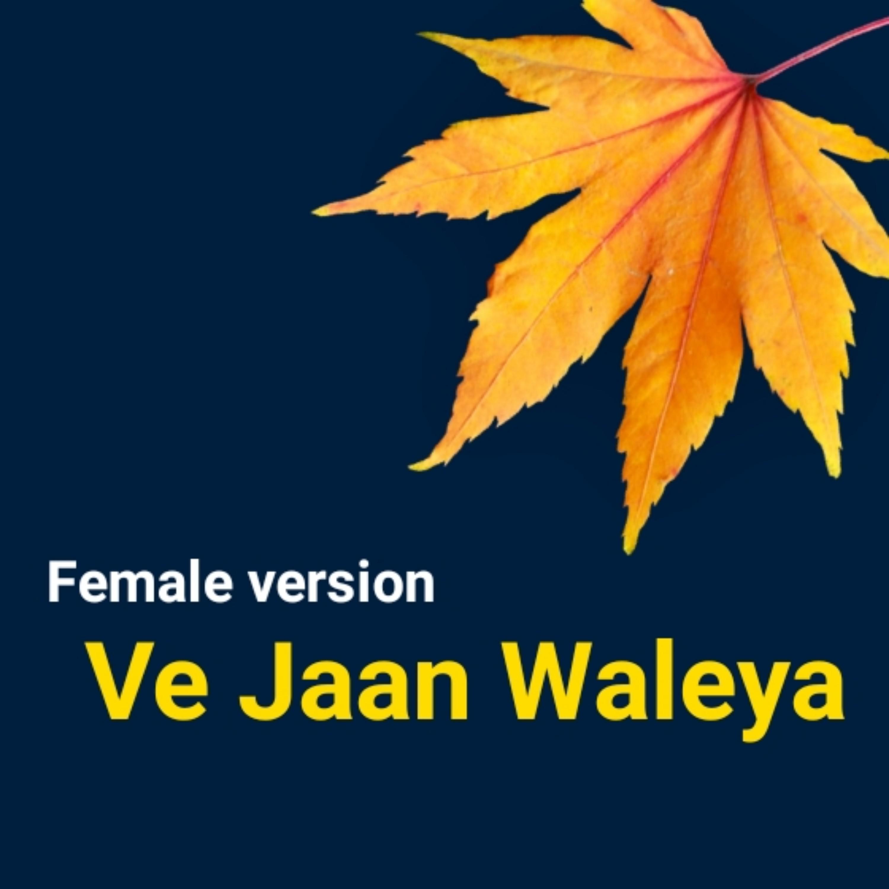 Постер альбома ve Jaan waleya